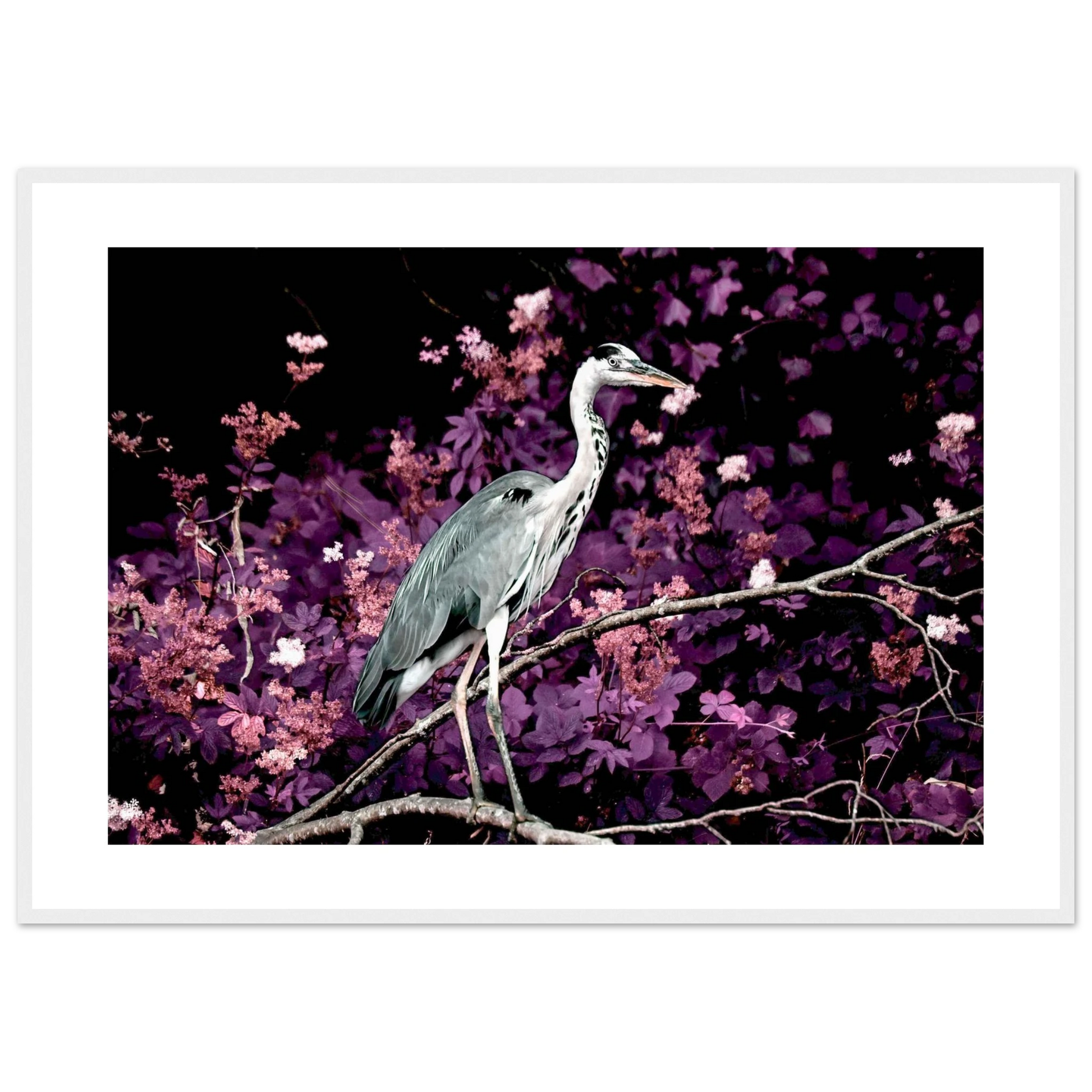 a0efb326-a4b9-479b-a0e1-474877be6c4a