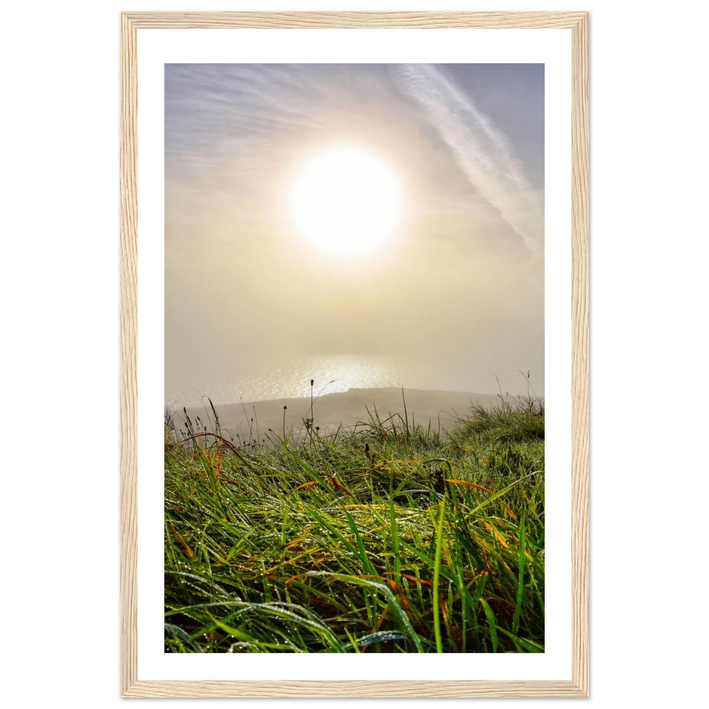 a1015d5d-e142-4590-a4c2-77d722faba58