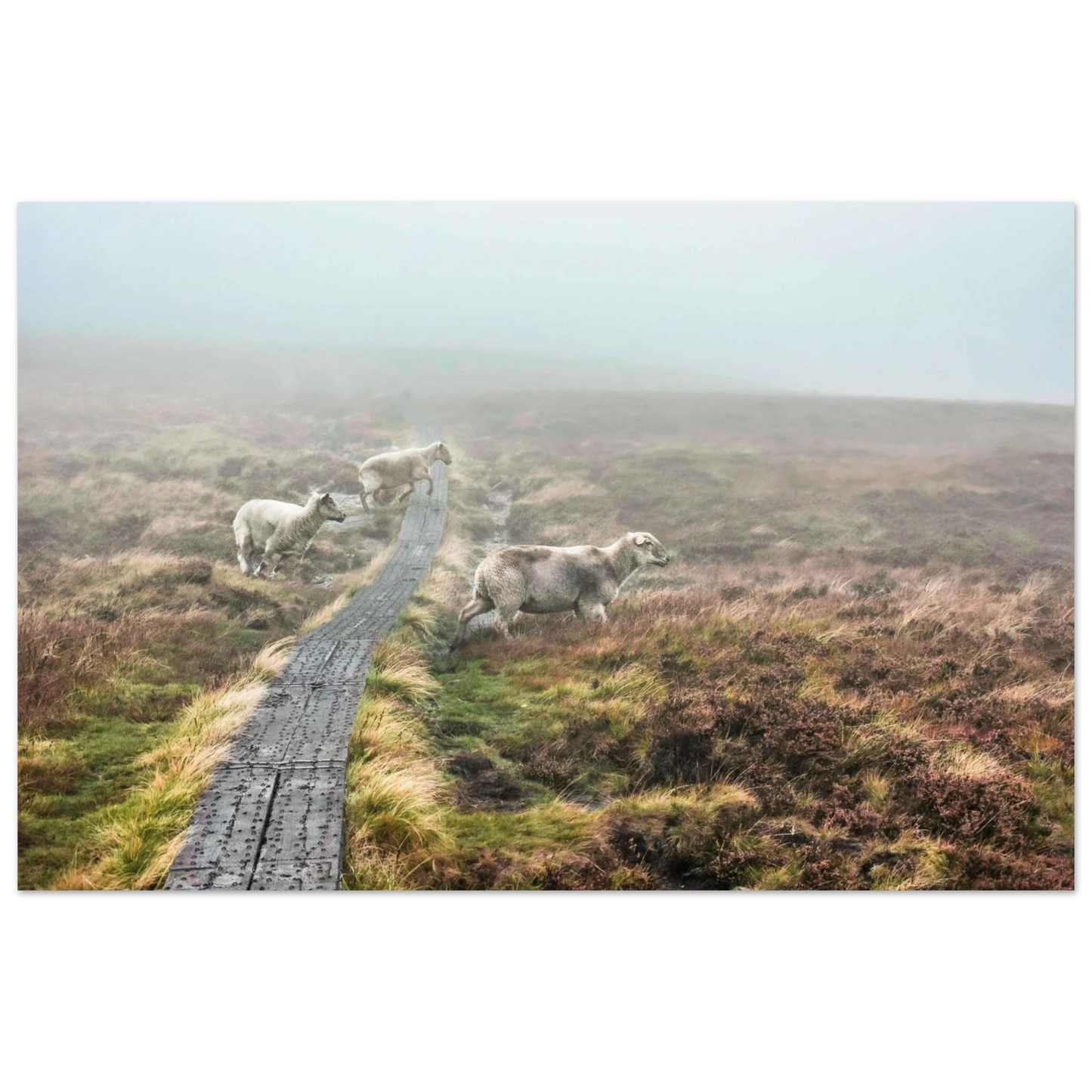 a114e474-567c-4aed-8489-38c64287ff72