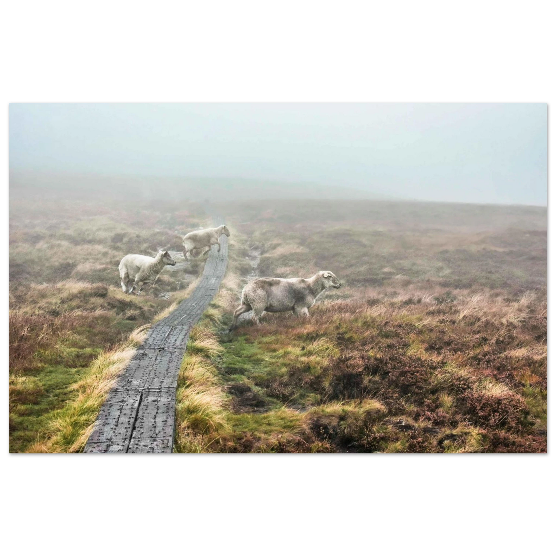 a114e474-567c-4aed-8489-38c64287ff72