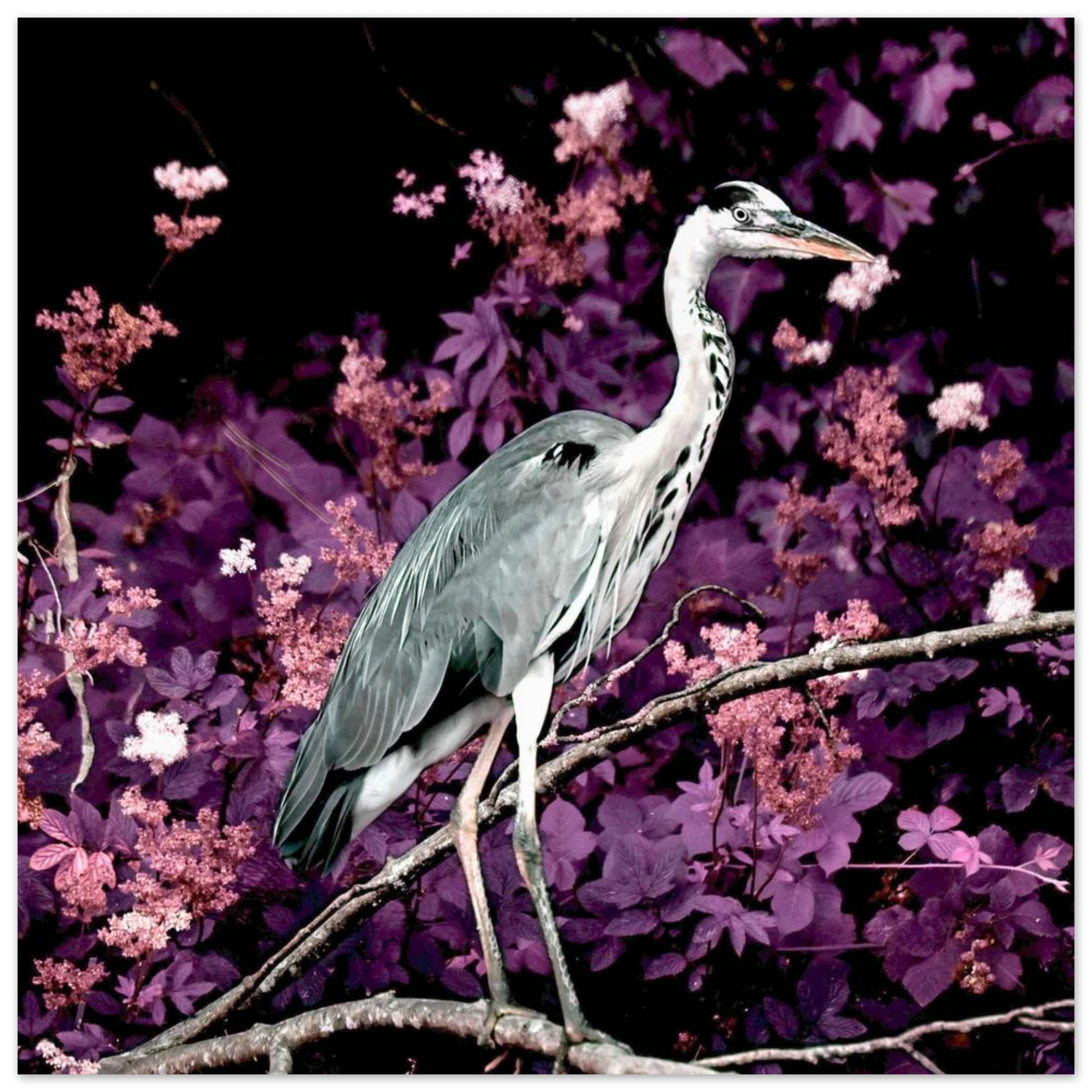 a117f4f3-aeff-4a1a-8dd6-fd16a58a865b