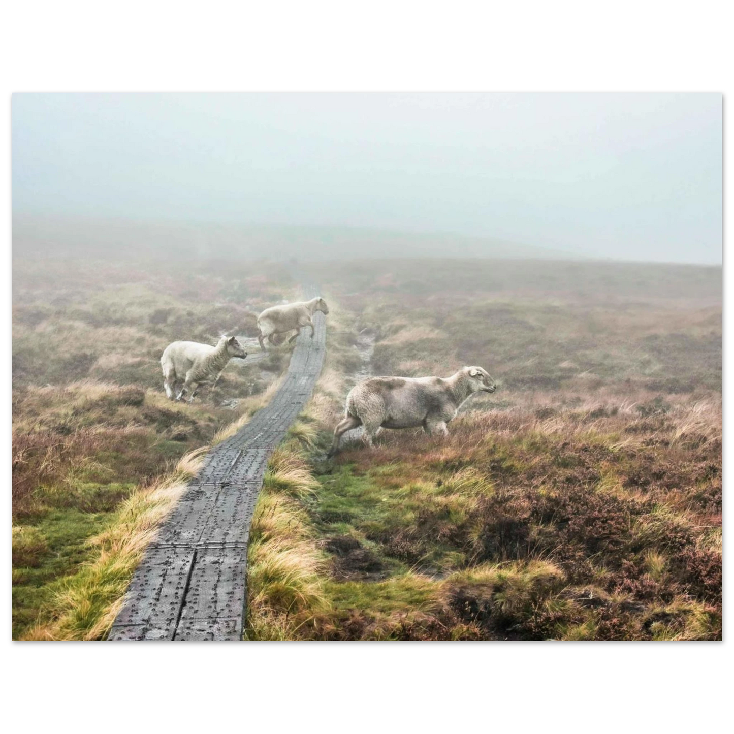 a14ac304-ba82-4d4b-b67f-50515e408527