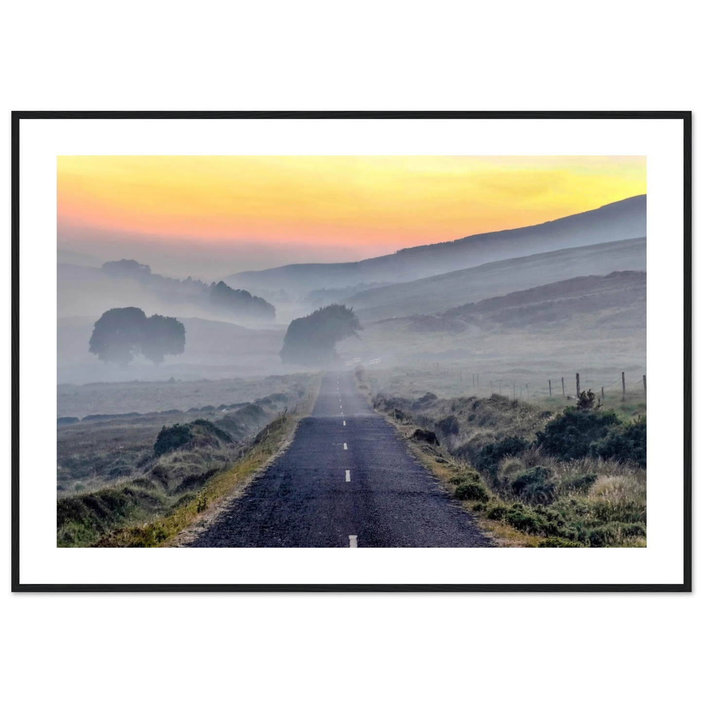 a16cd373-a521-4691-a858-a6e63ac5d364