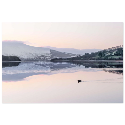 a1b979fd-2847-488e-b601-8af353d83a0f