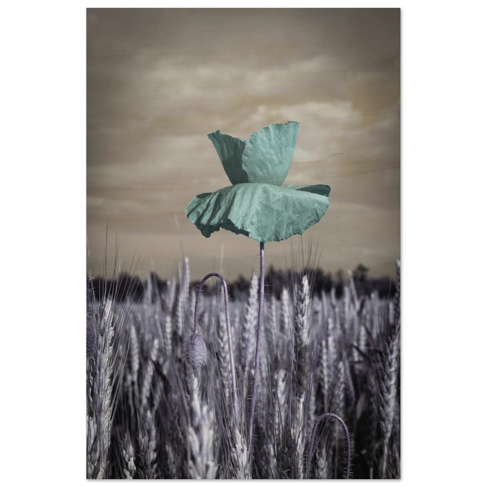 a2f0a3ee-4cab-49e7-ba2b-e1a049fb7e38