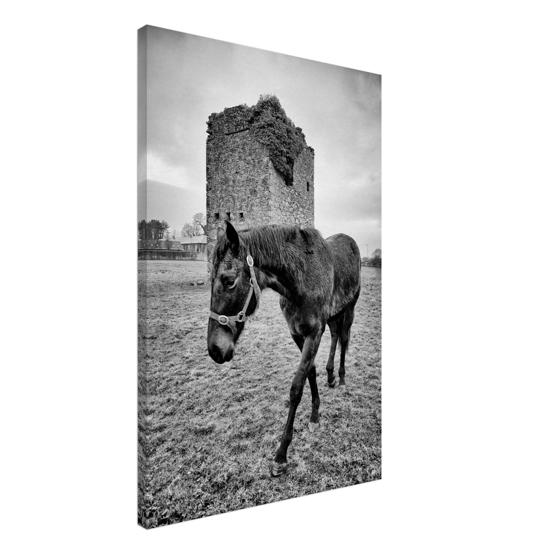 a320cabb-9b32-4042-b78d-756825315dcd