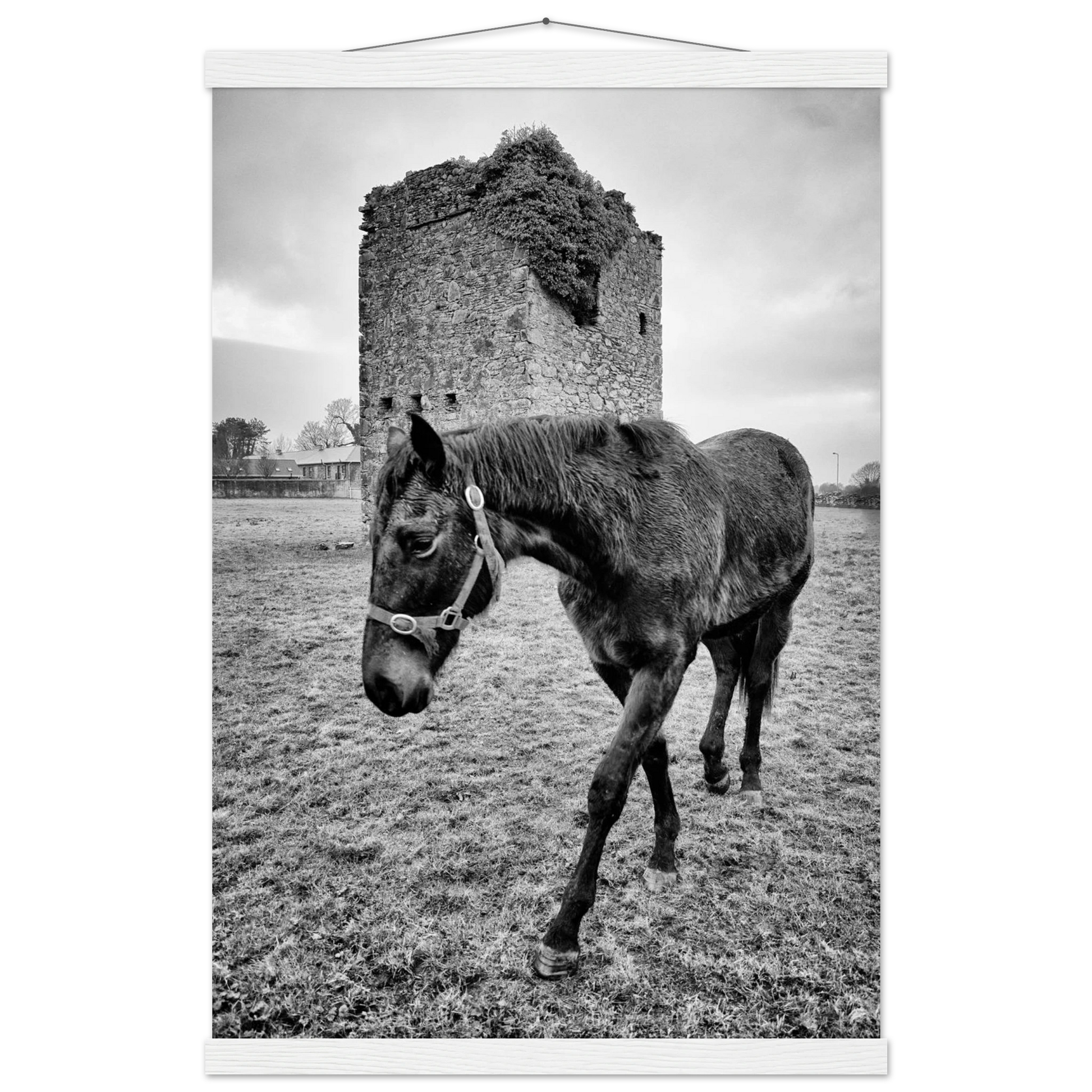 a344eca5-ef35-4e9e-a2f9-b01dfa49172b