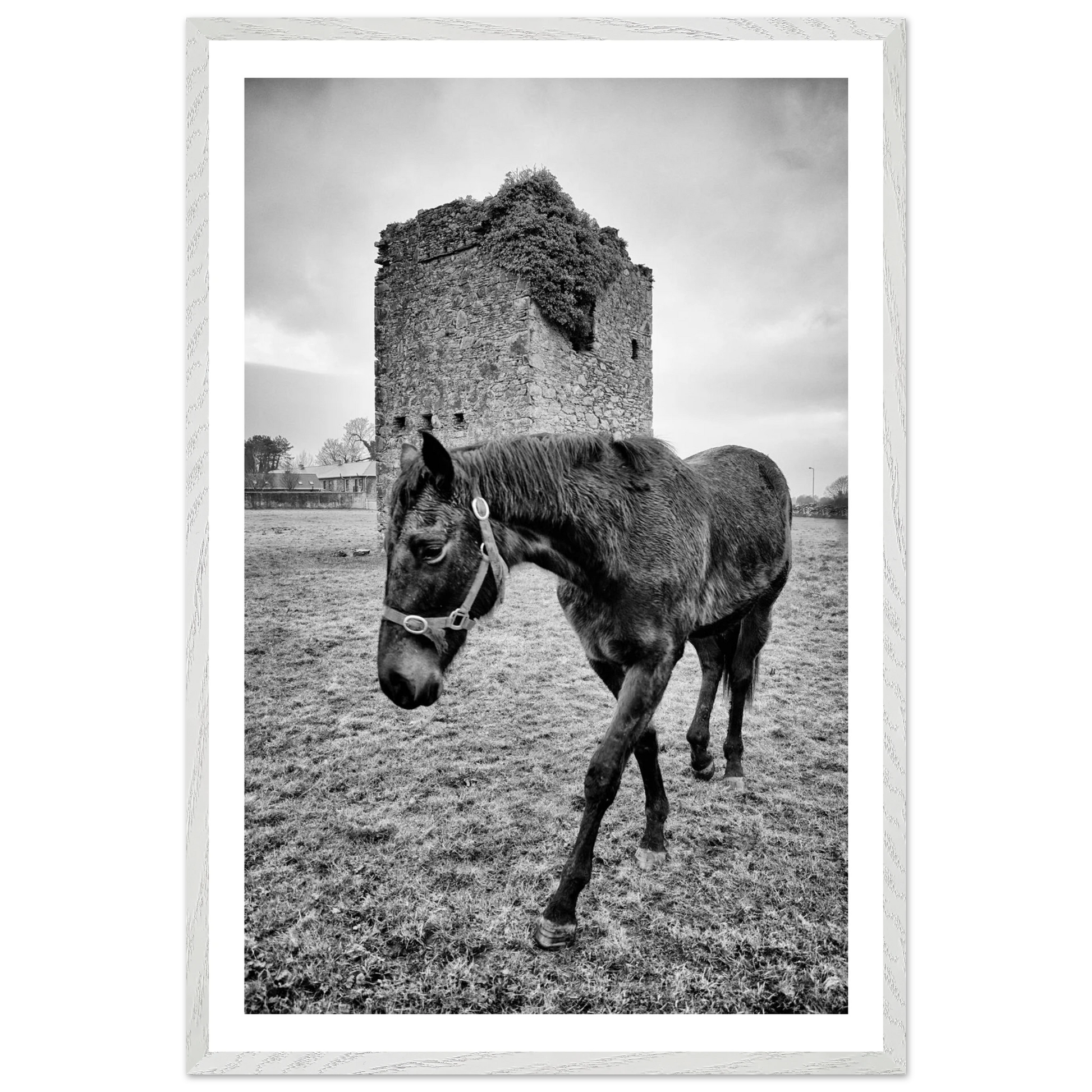 a3c7f377-ae37-46e3-a0ff-d05ce13e5390