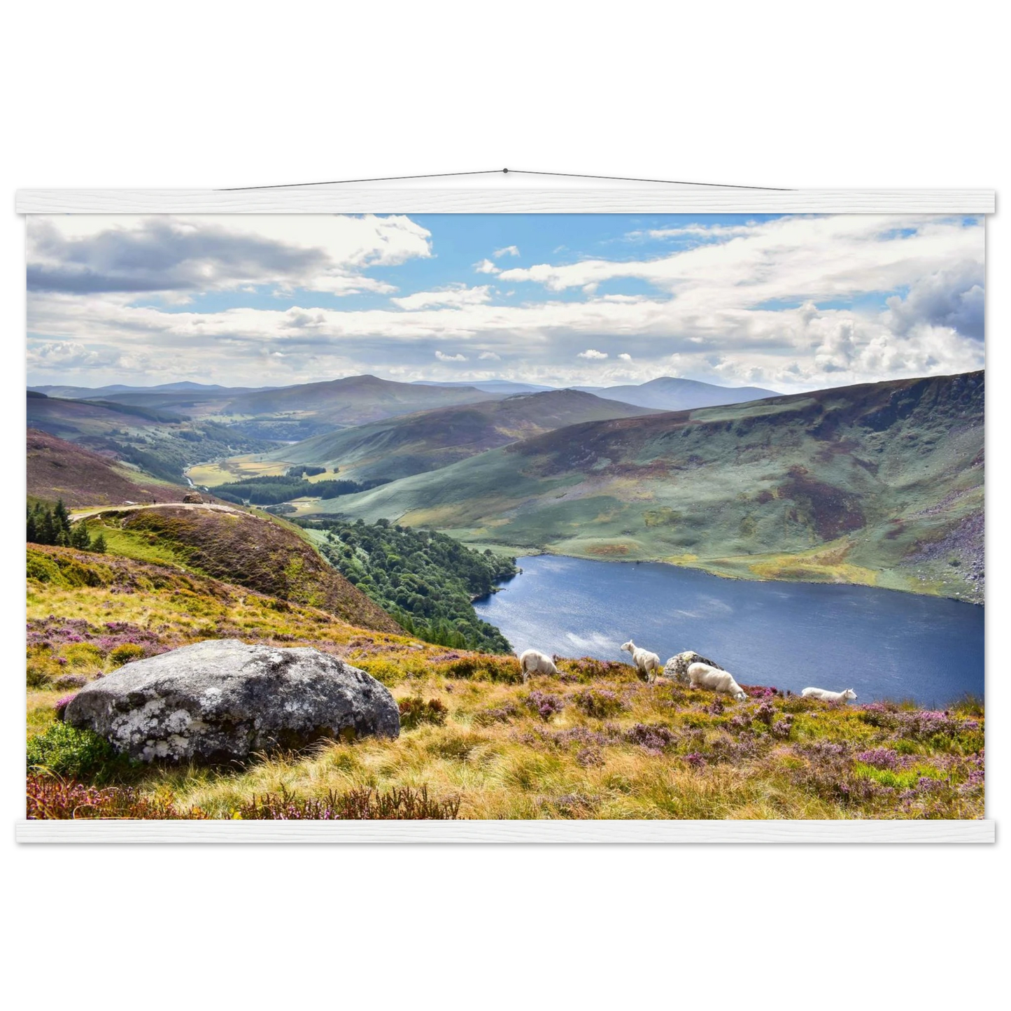 a42027d7-6e18-4d99-8d59-e562b0bc7a5a