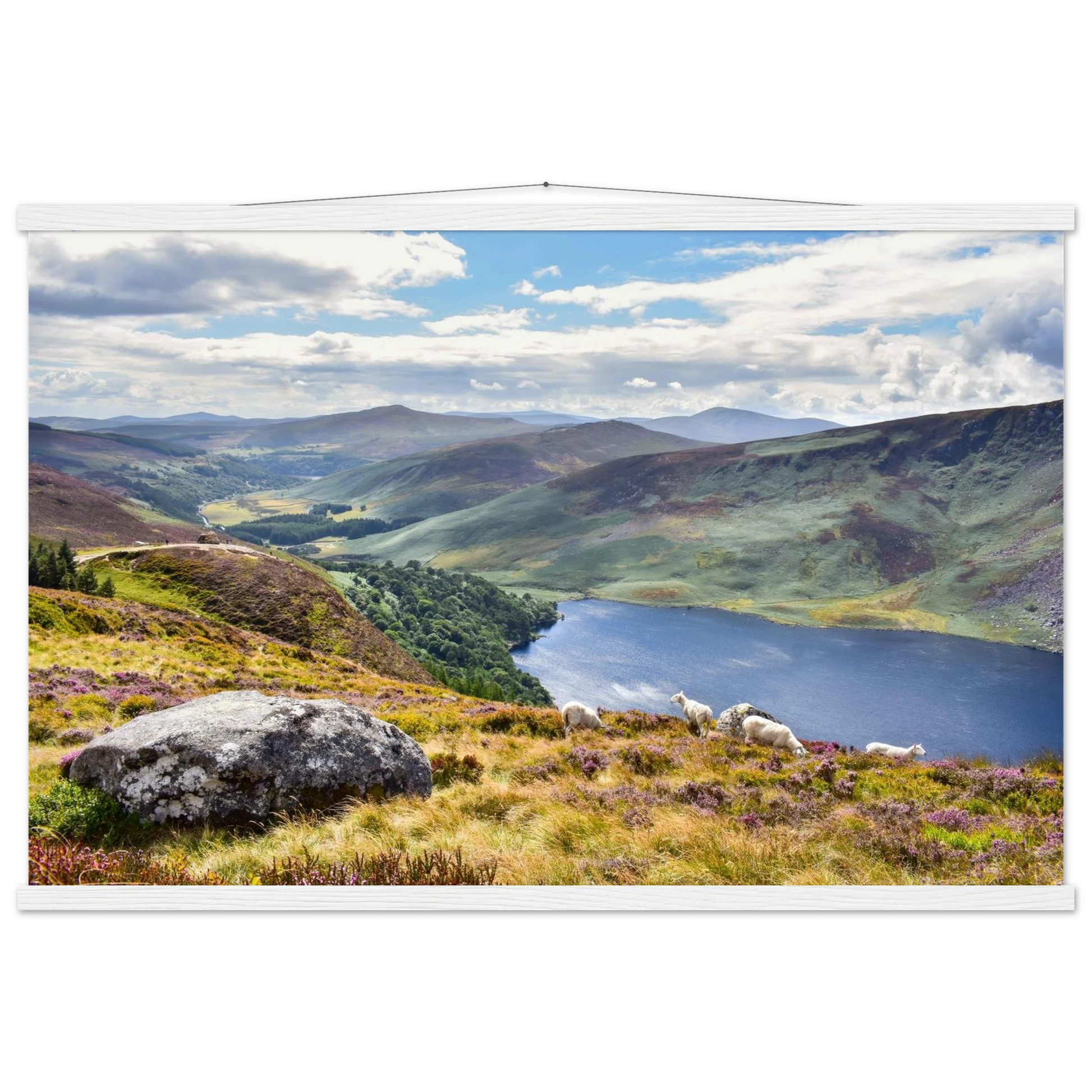 a42027d7-6e18-4d99-8d59-e562b0bc7a5a