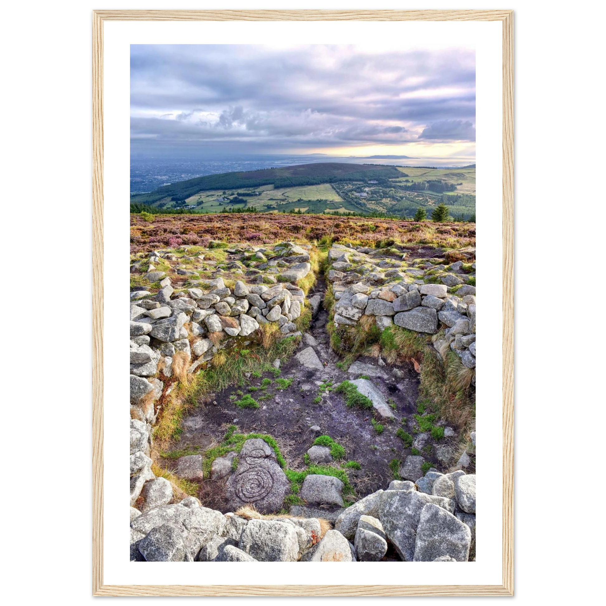 a42c7749-6aff-44d8-b621-1e1a083fc721