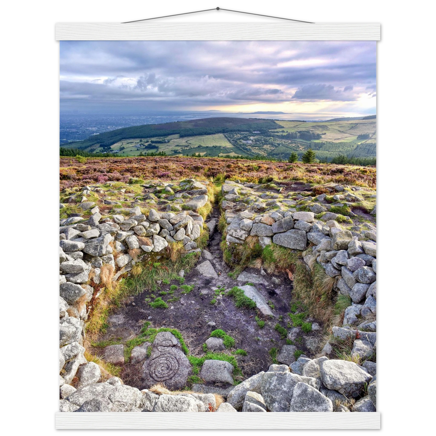 a4440323-2ee0-432e-bef1-00270250cb7c