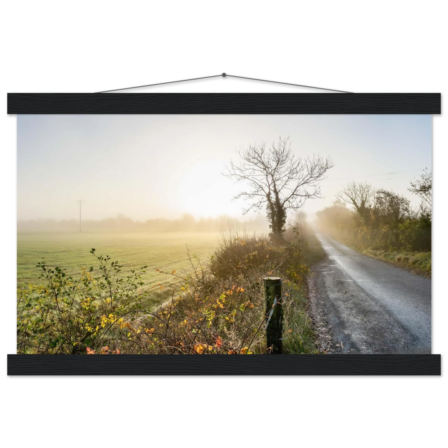 a4987f62-a1de-4a6e-9d47-113272f61ea9