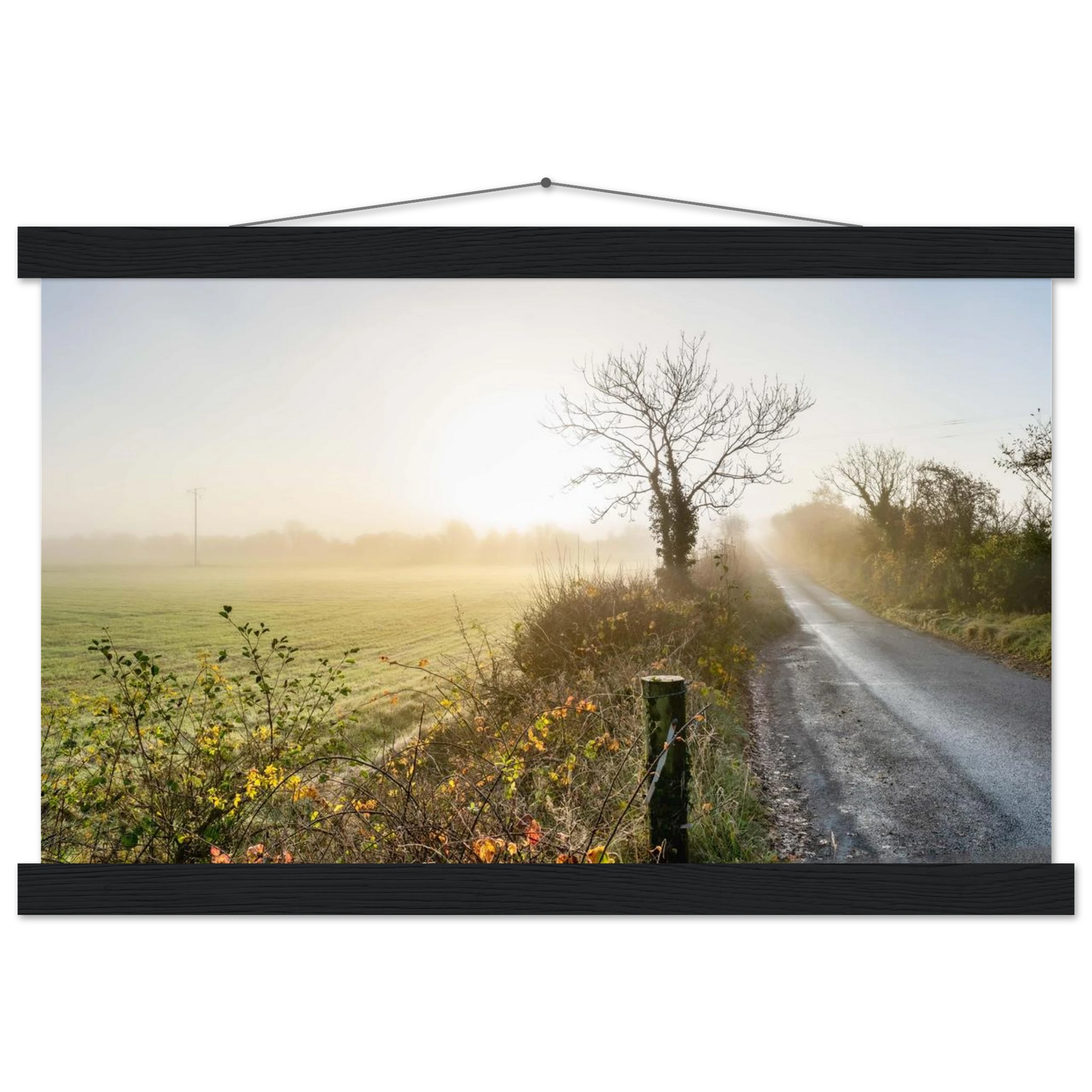 a4987f62-a1de-4a6e-9d47-113272f61ea9