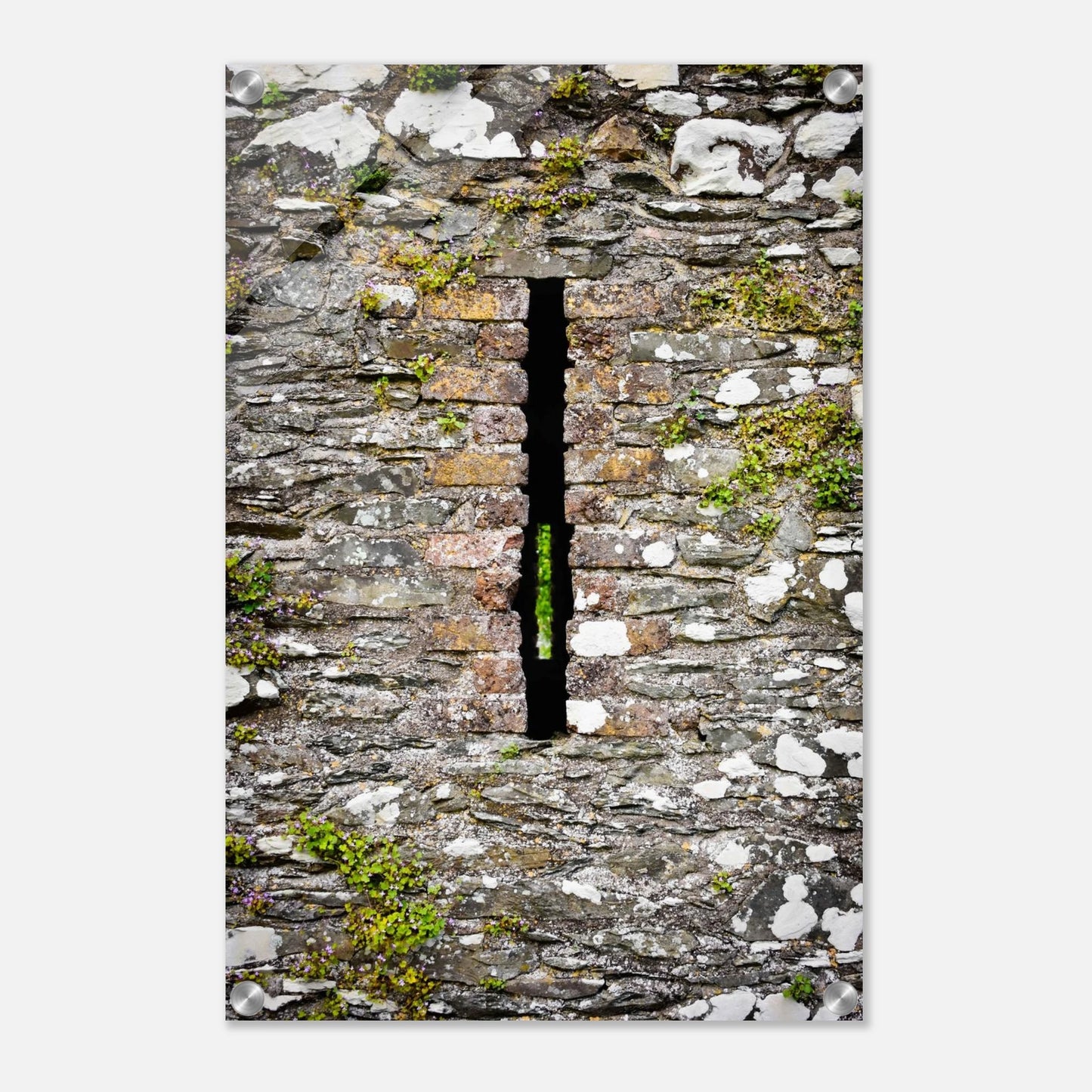 a4d33c70-fa1d-430c-bf0b-22a7674f22f6