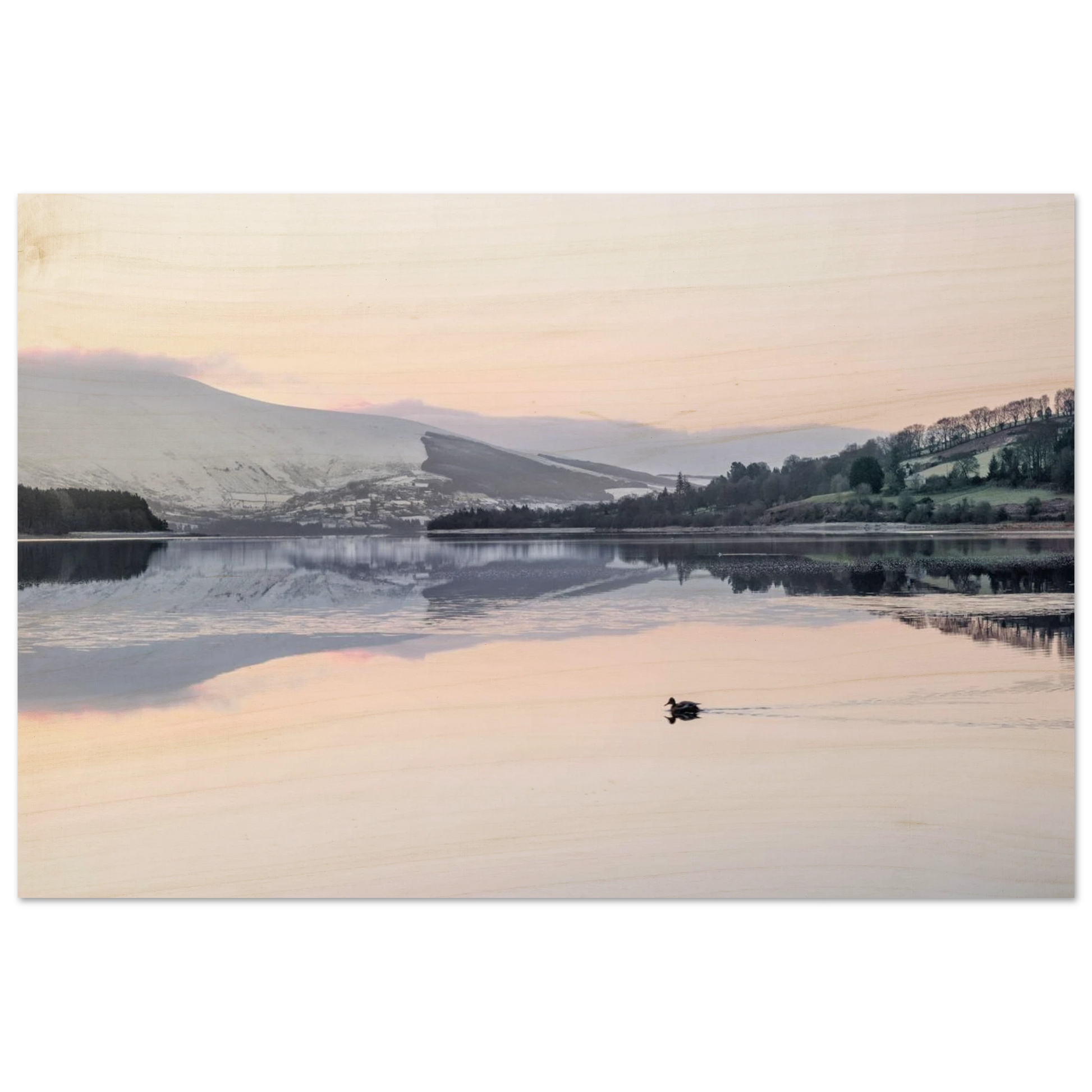 a4f0d342-d64a-4bc8-8d35-5e1993daec6c