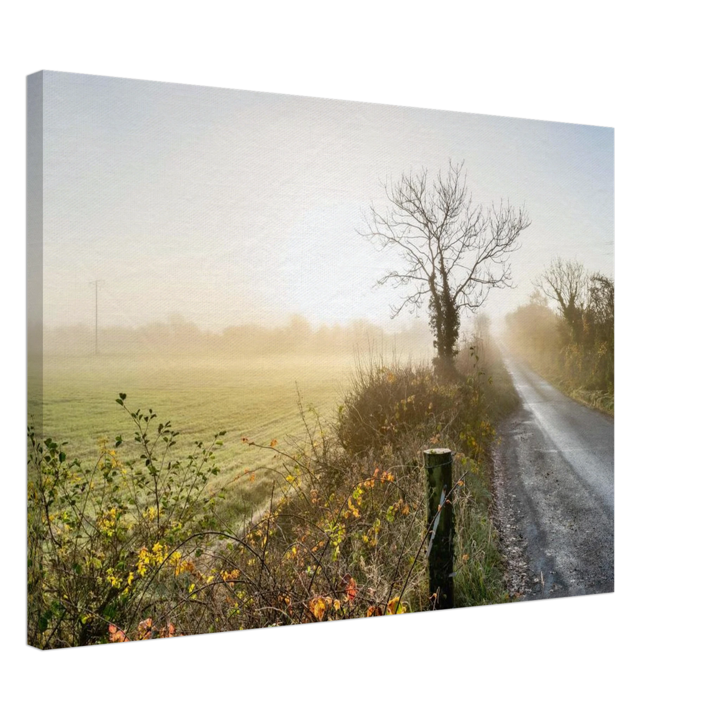 a6197b8b-935b-4bd8-bc8b-67974f1789bd