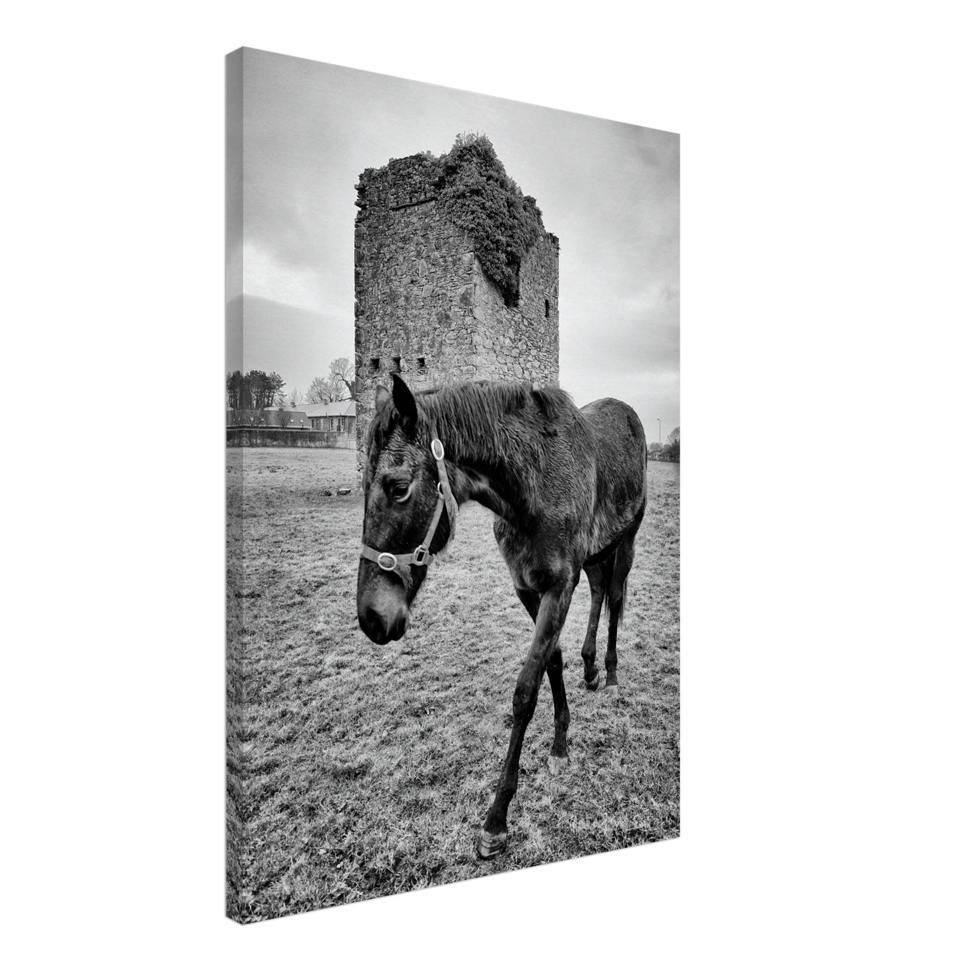 a636ee5b-9f16-4124-8e4f-69ef7f346edf