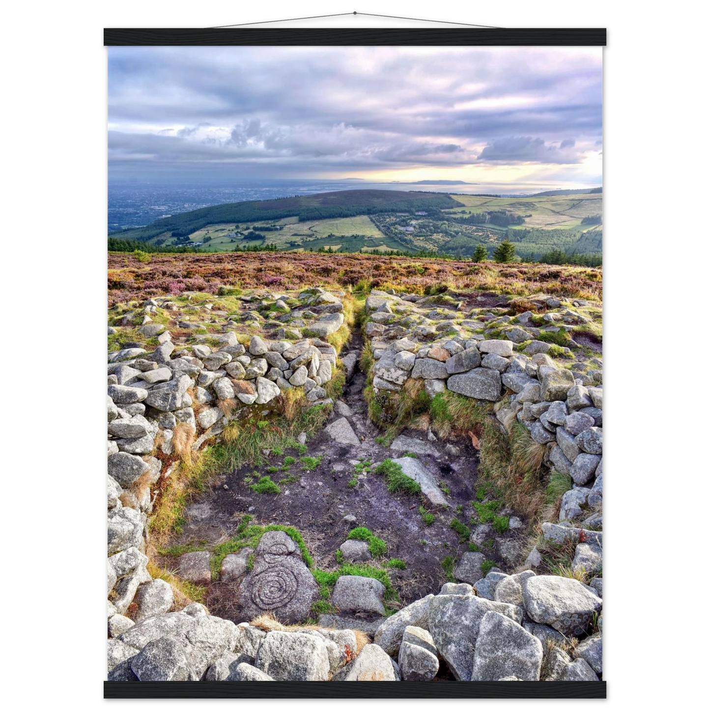 a6380350-9a04-438c-8041-4c82b7af2351