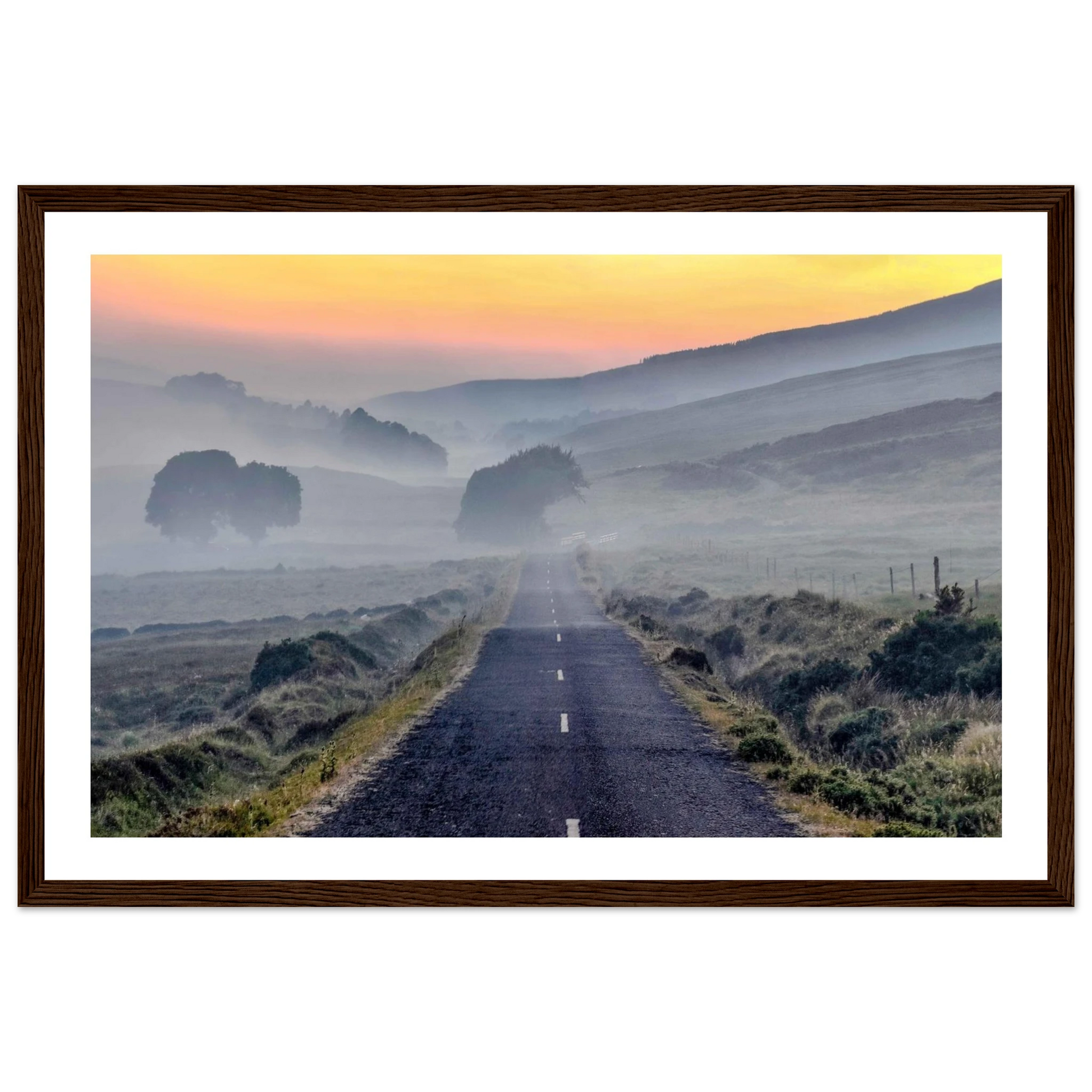 a6392906-242c-4afd-b119-f658120ff230