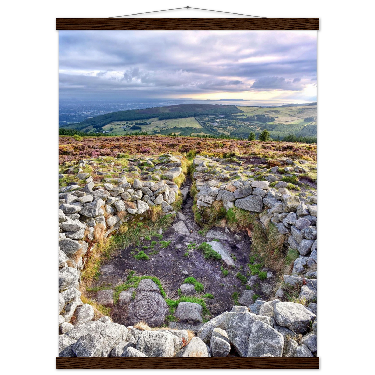 a64d9ffa-b35a-4a66-bfe2-cfe223a5ef50