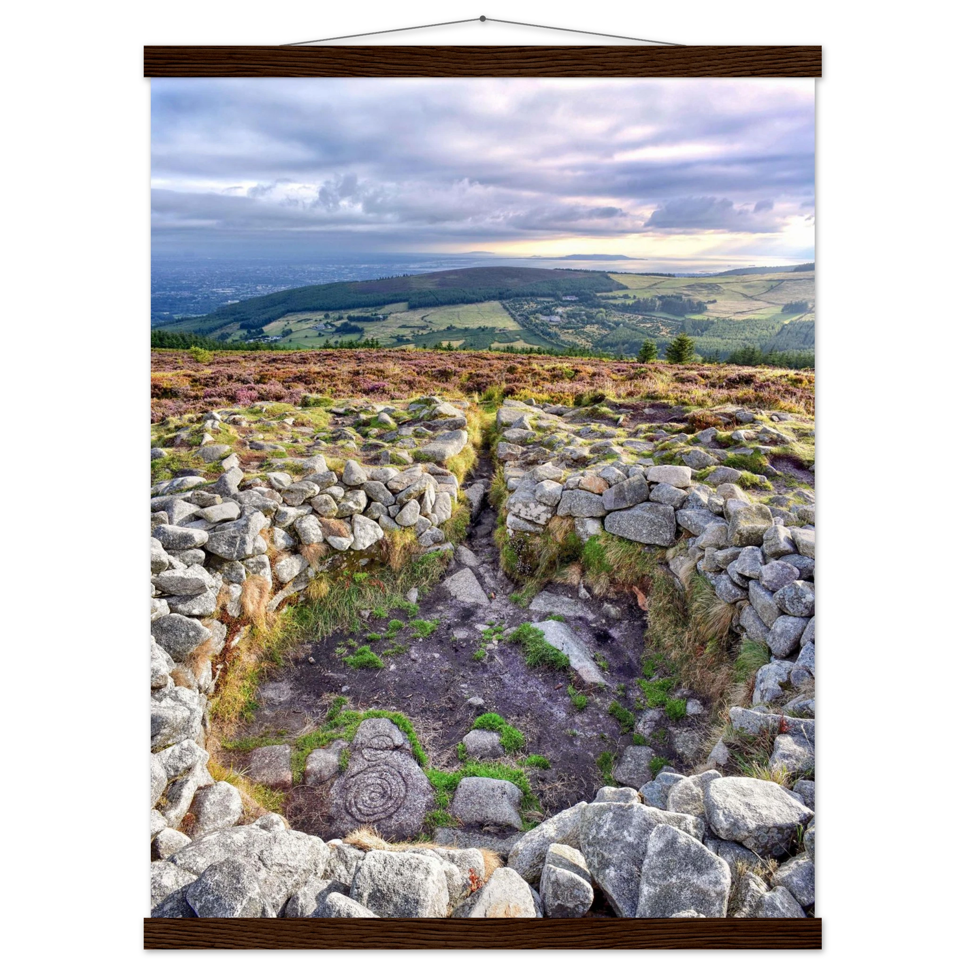 a64d9ffa-b35a-4a66-bfe2-cfe223a5ef50