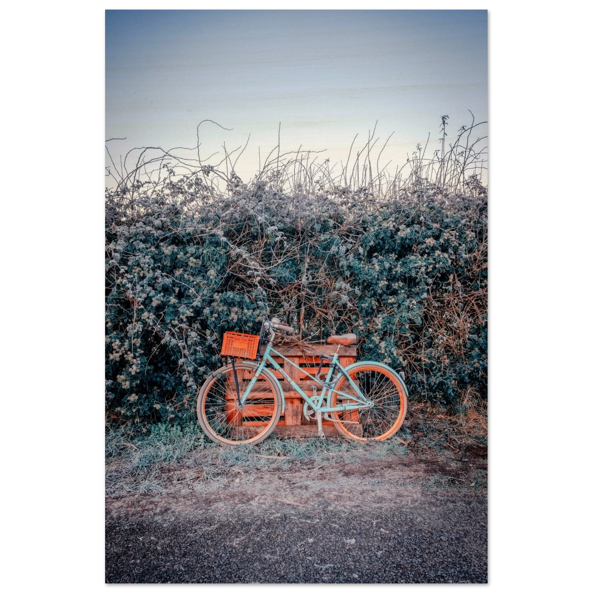 a65653be-f42a-411c-b23b-c1bd42164ea8