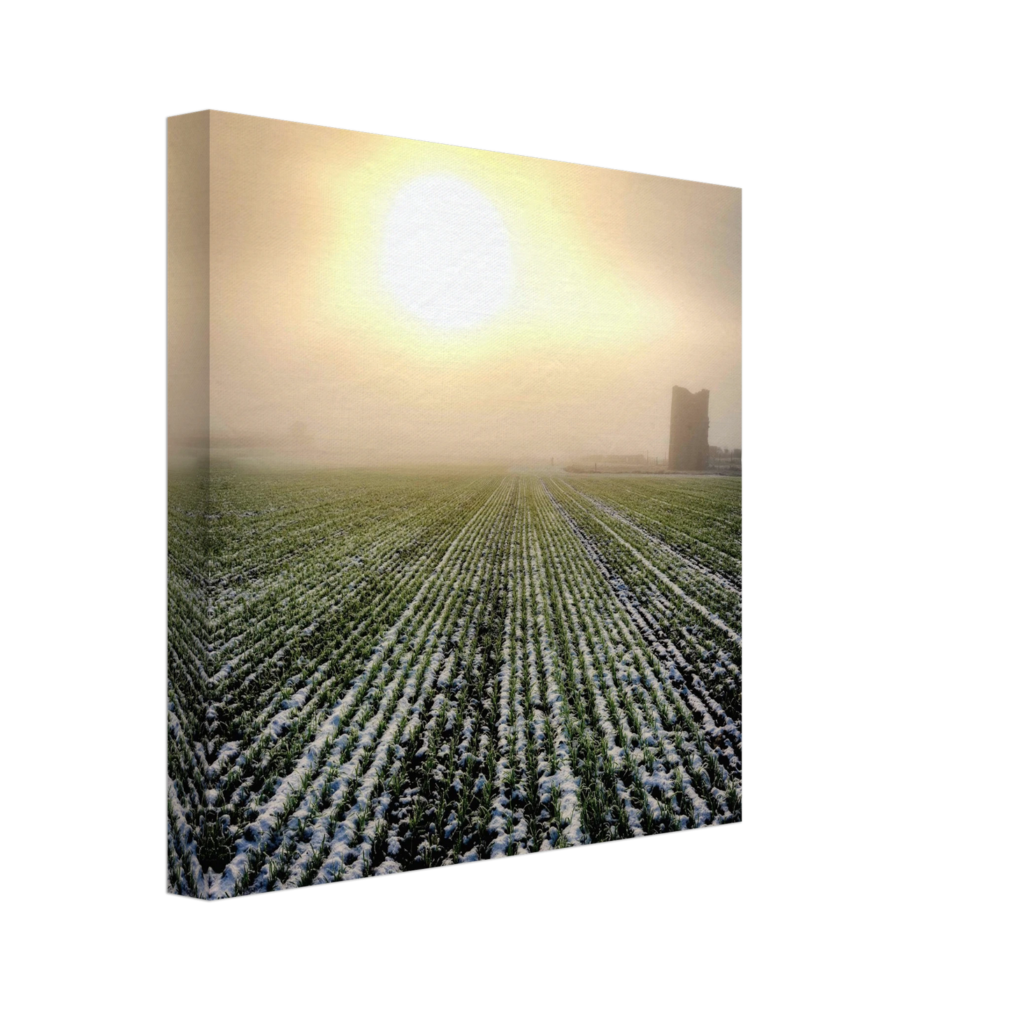 a661a3a9-a861-4c5b-86df-feb372765877