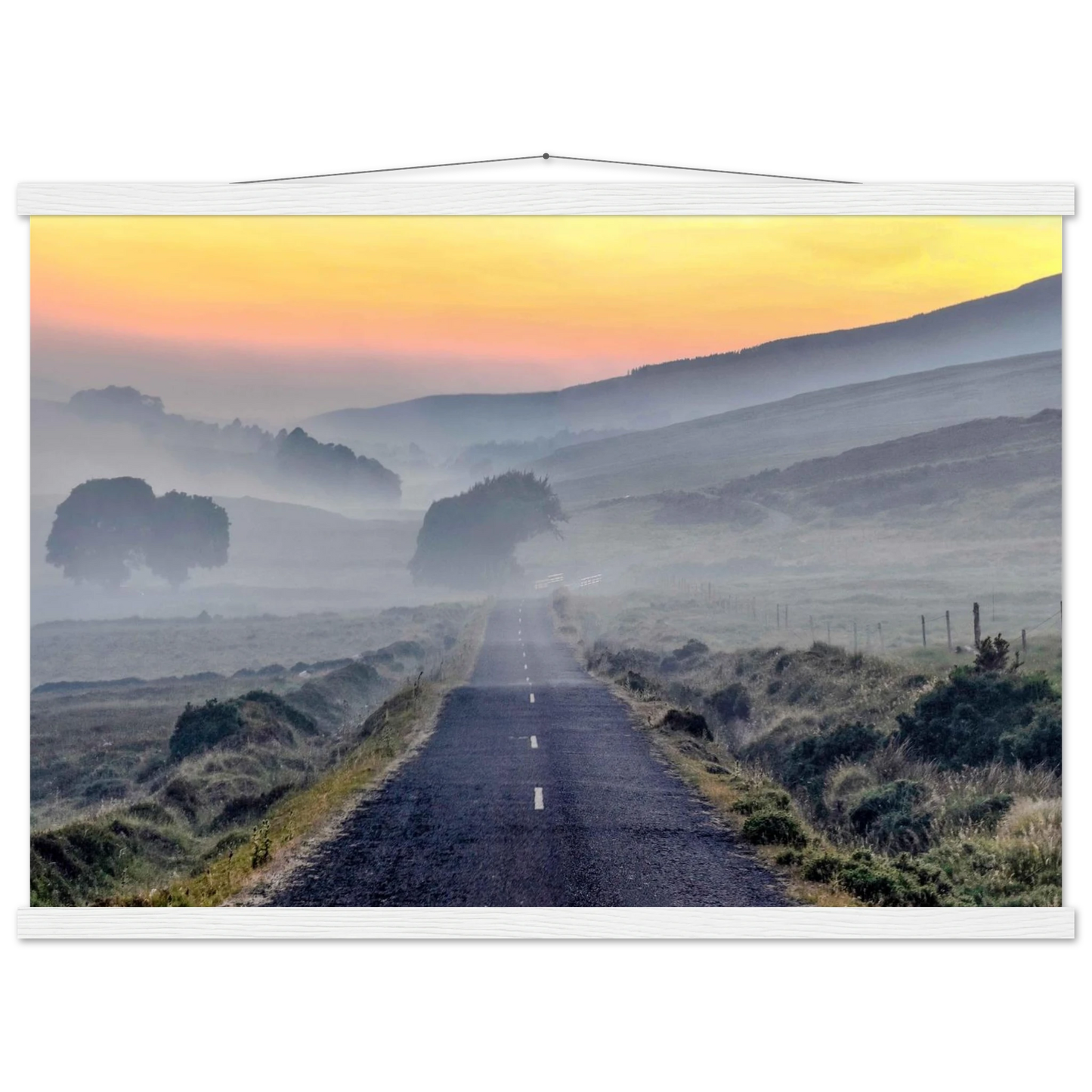 a66e3a59-70c5-4693-8f16-605fdfda293e