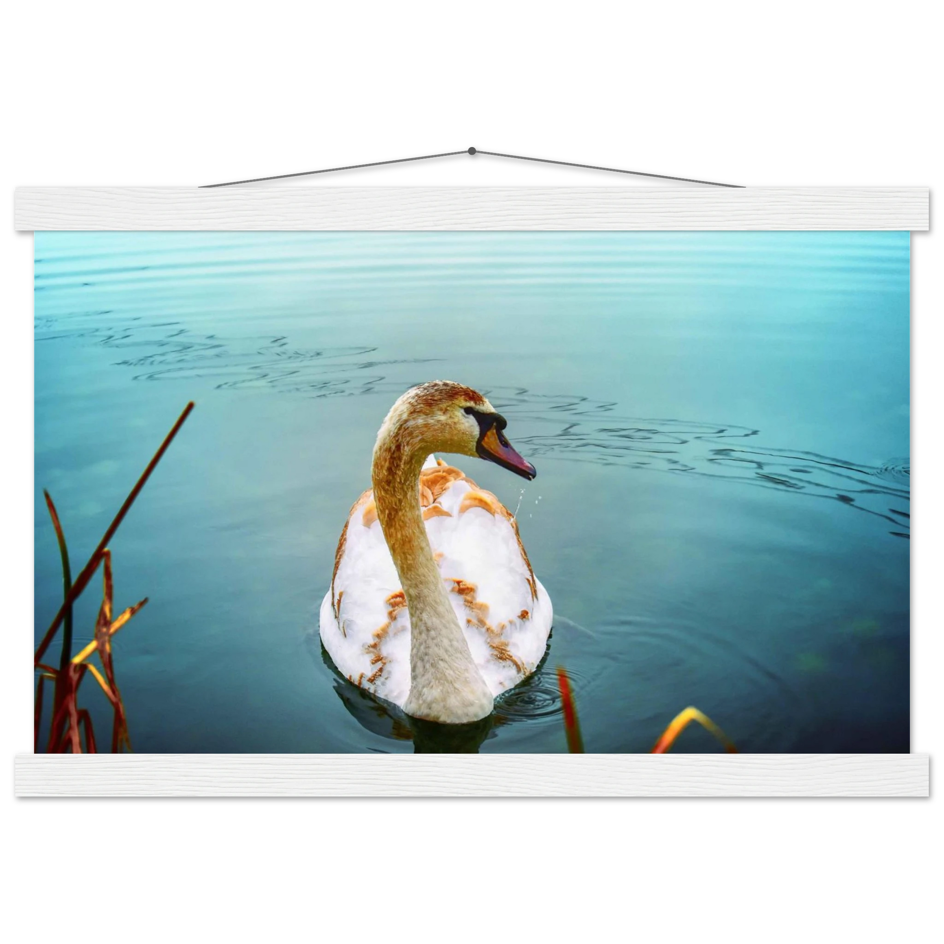 a6ae9b2e-56e6-4e8e-aecd-129f877b91b3