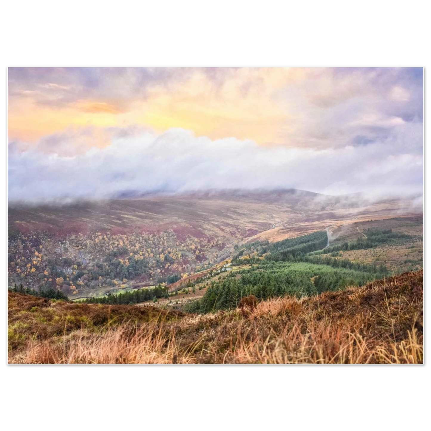 a6c766fa-f5b1-4fb2-9bab-9e0aa76c81fa