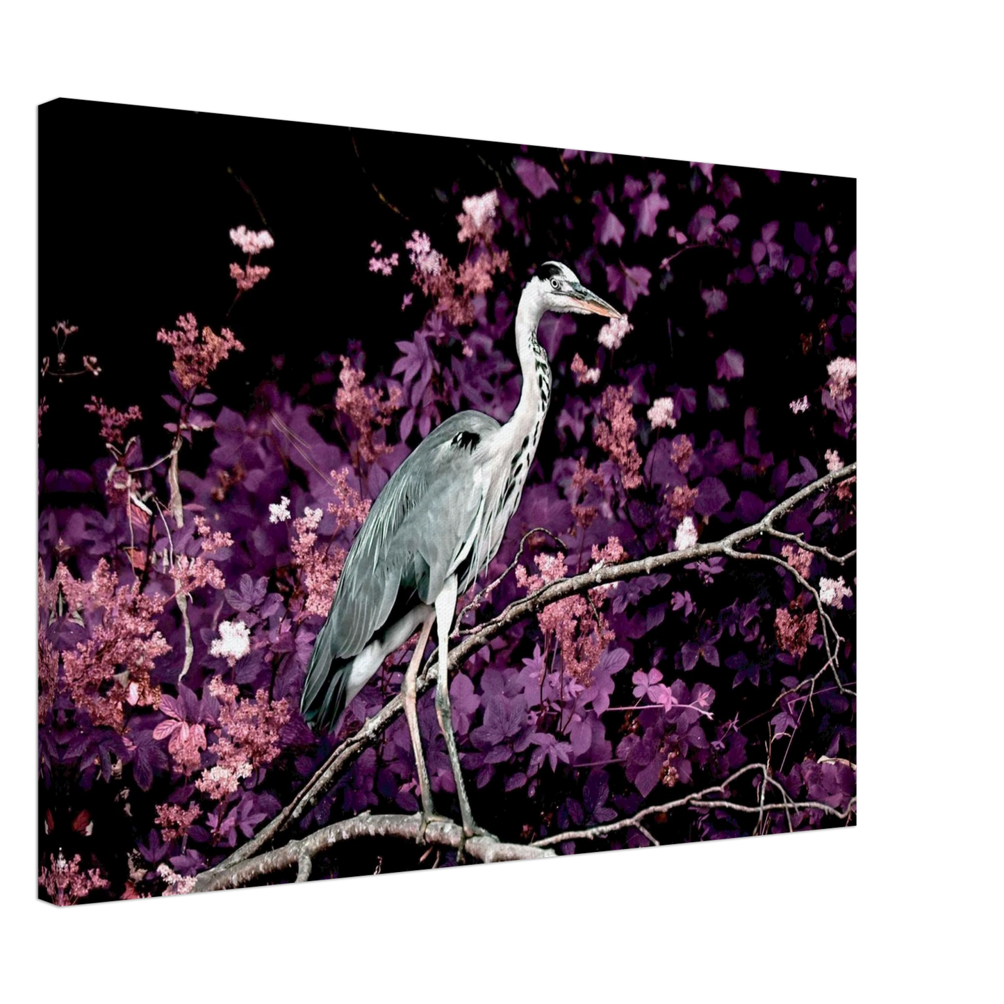 a6ded4e8-becb-411b-8b37-ce970ed8e436