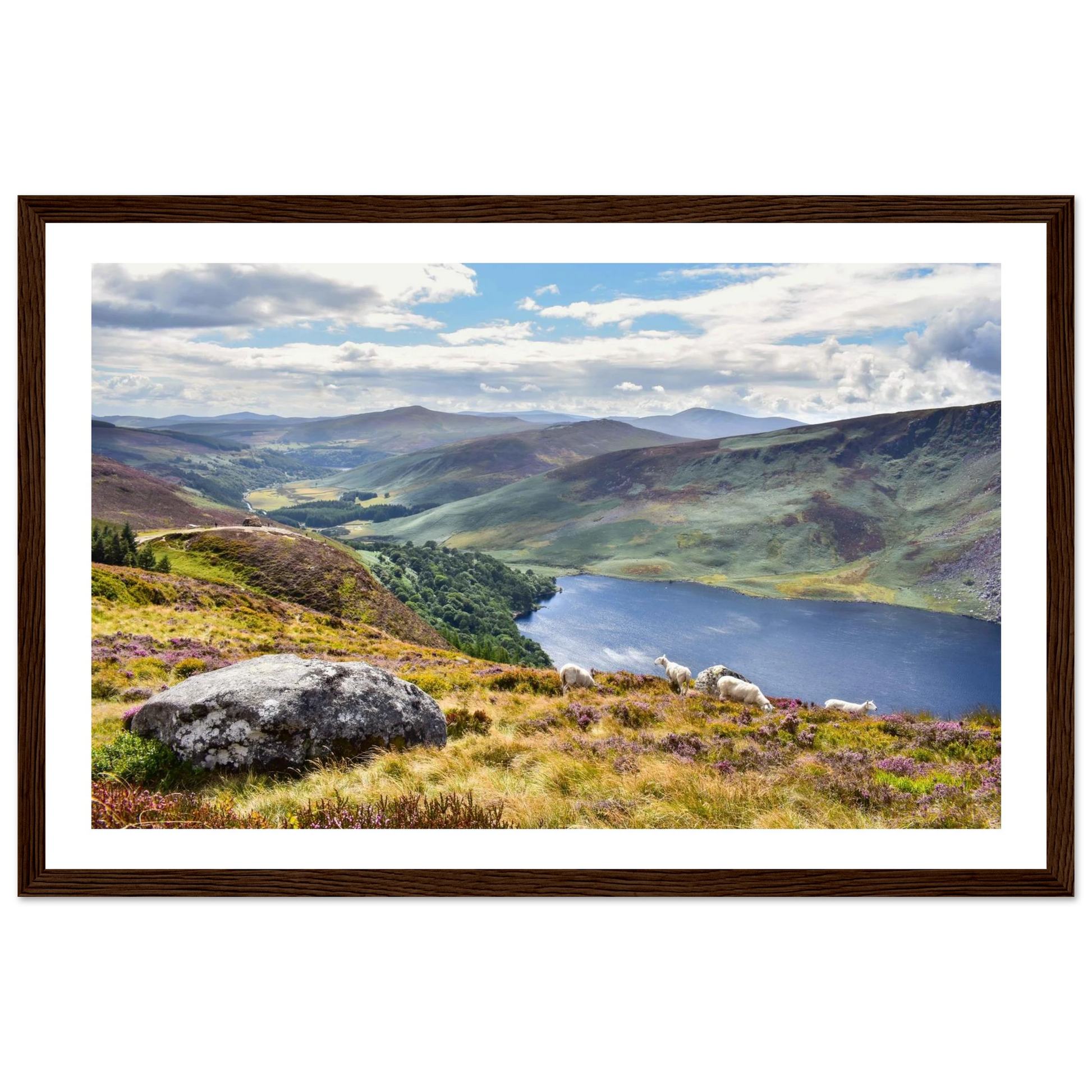 a70d581d-d151-4021-8c3a-b0a80236fac9