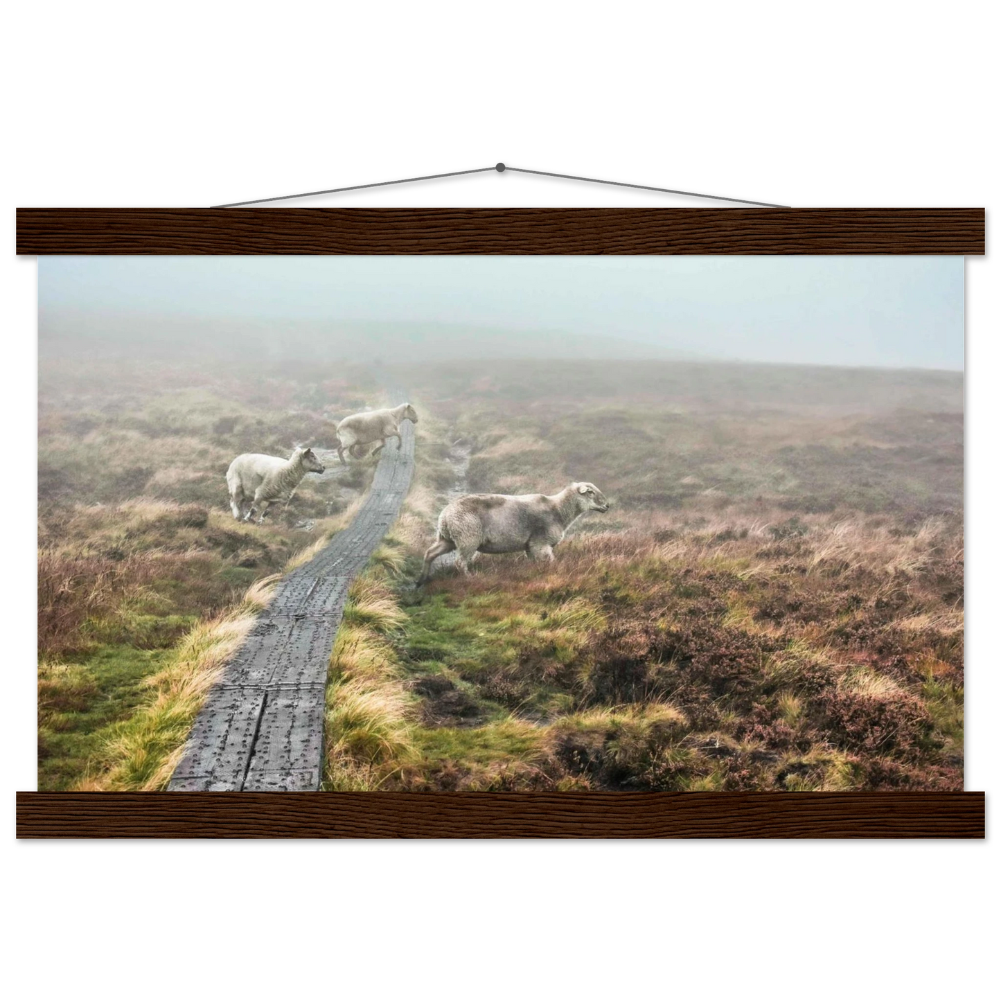 a71b53ab-f736-4932-b331-64795110946b