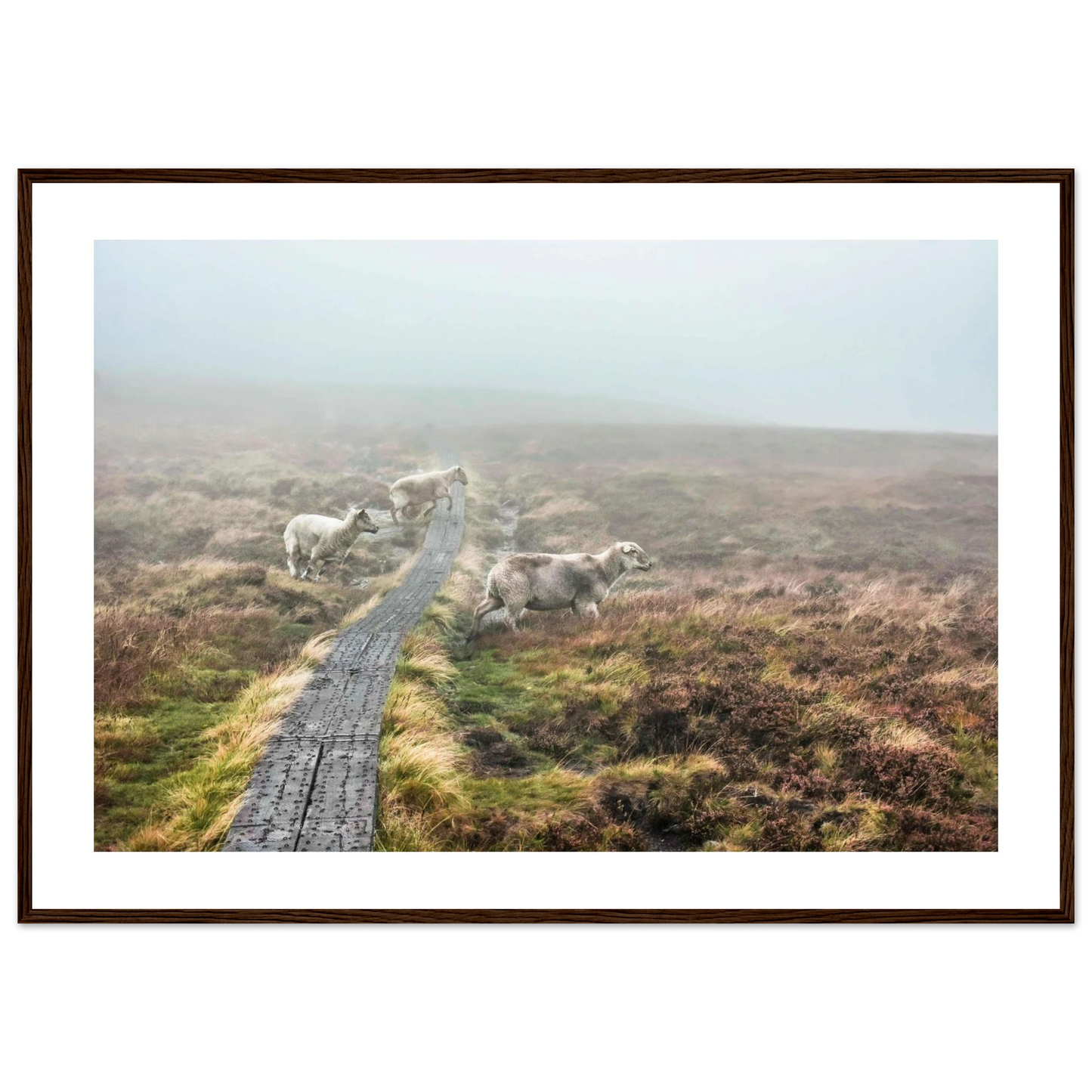 a7658caa-9eeb-4743-917a-23c7c5a1263c