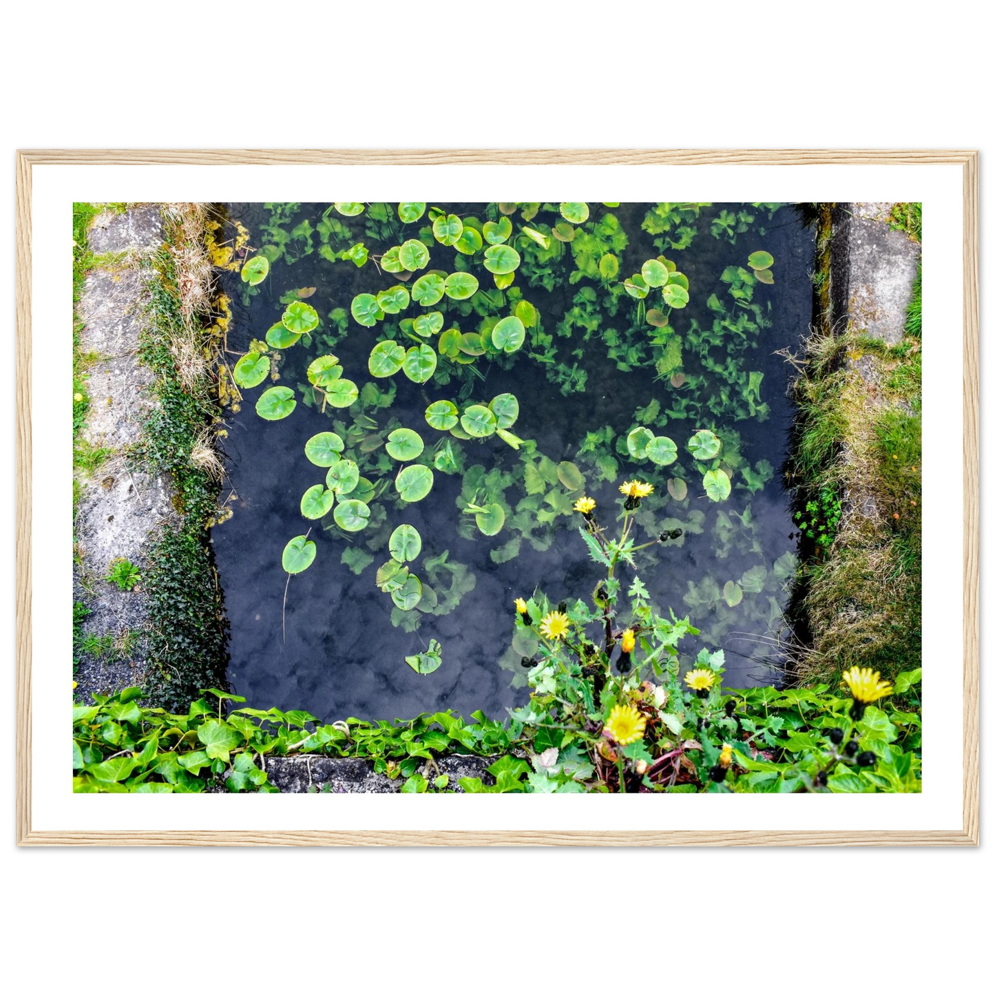 a79711d8-ae98-449d-9857-15aee5b3fda1