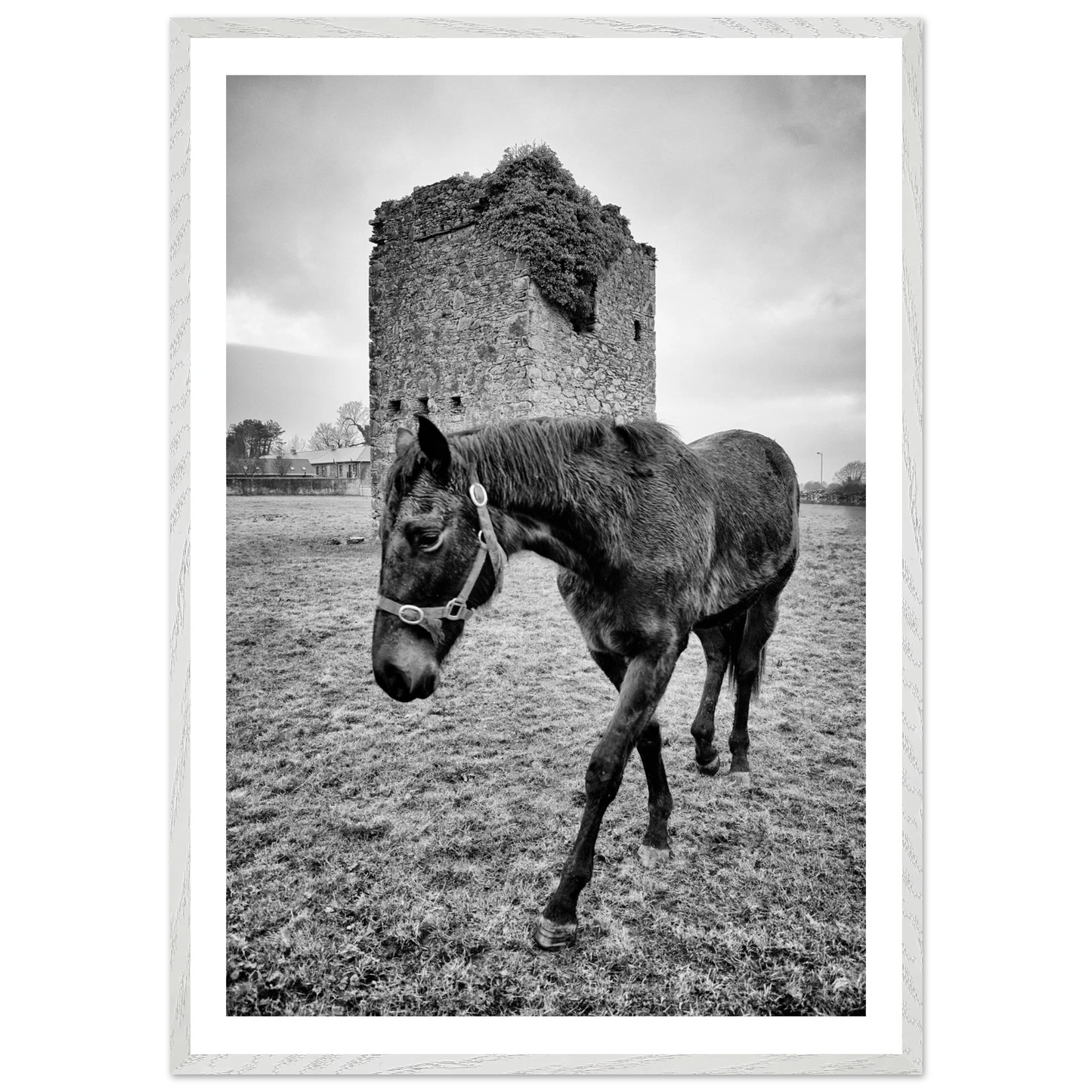 a818bf39-a25a-44a8-b8bd-0b5541f32739