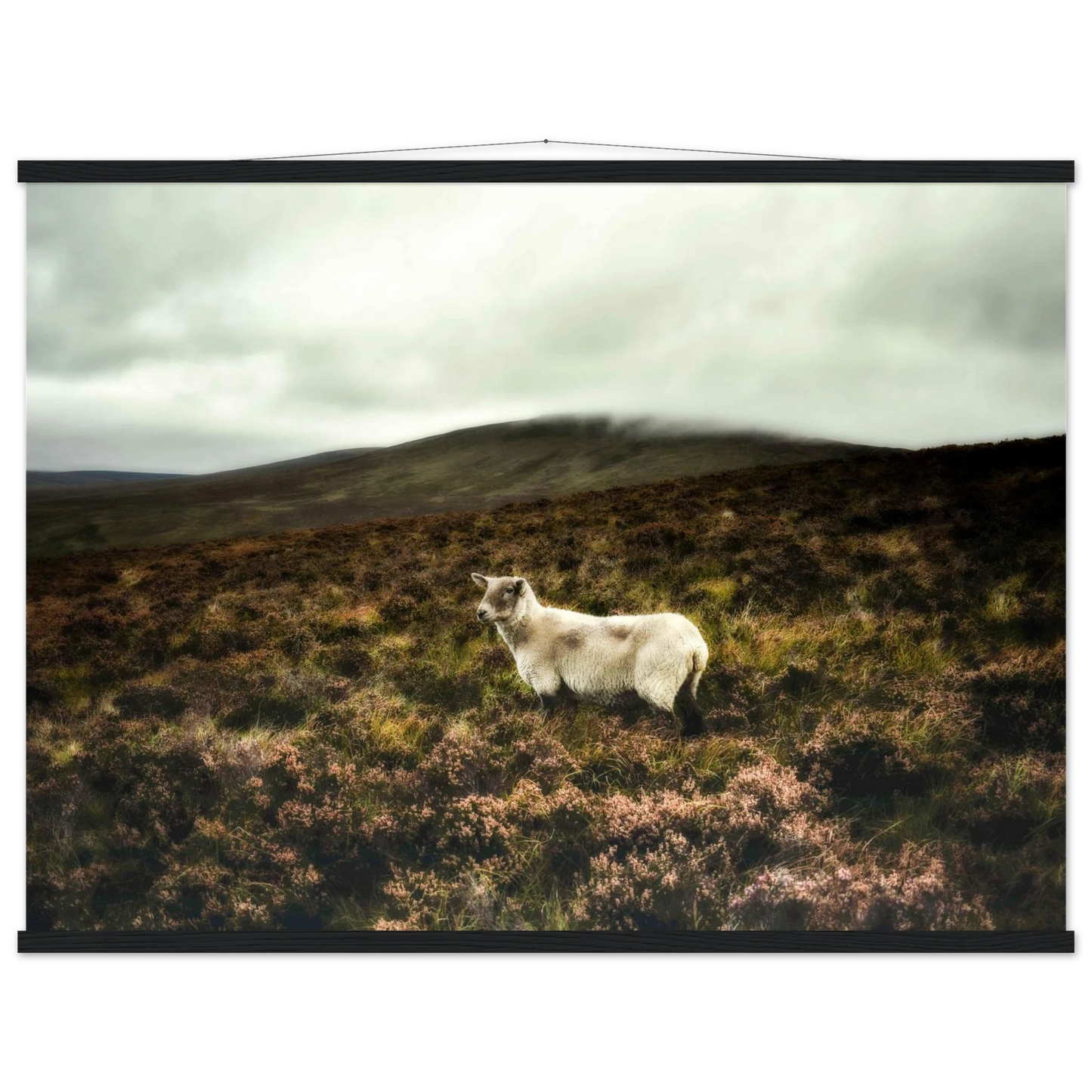 a86b6abe-9a5b-43f0-8294-dc4d31d1db57