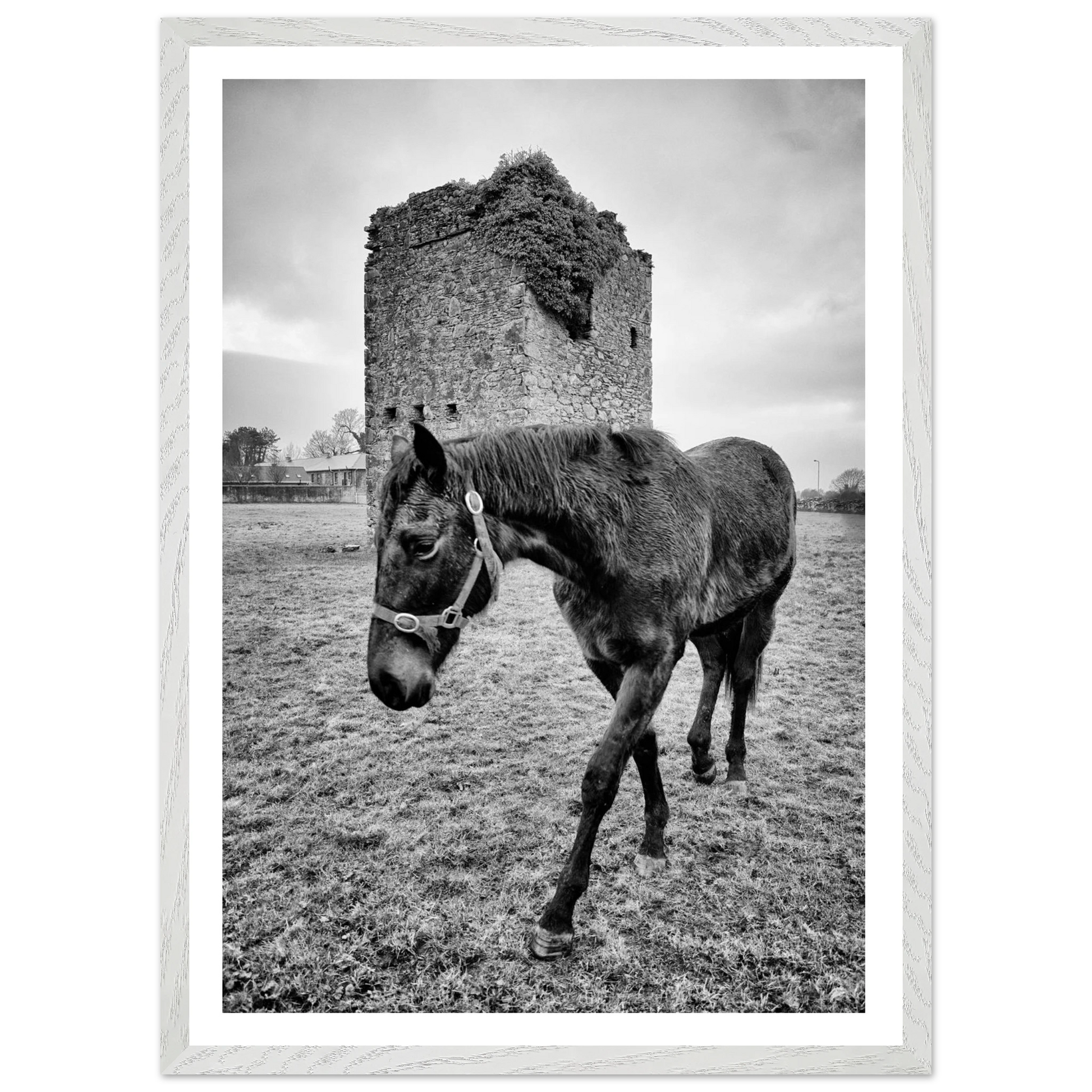 a89e3a1c-60bf-47cb-b788-dcdf666d951e