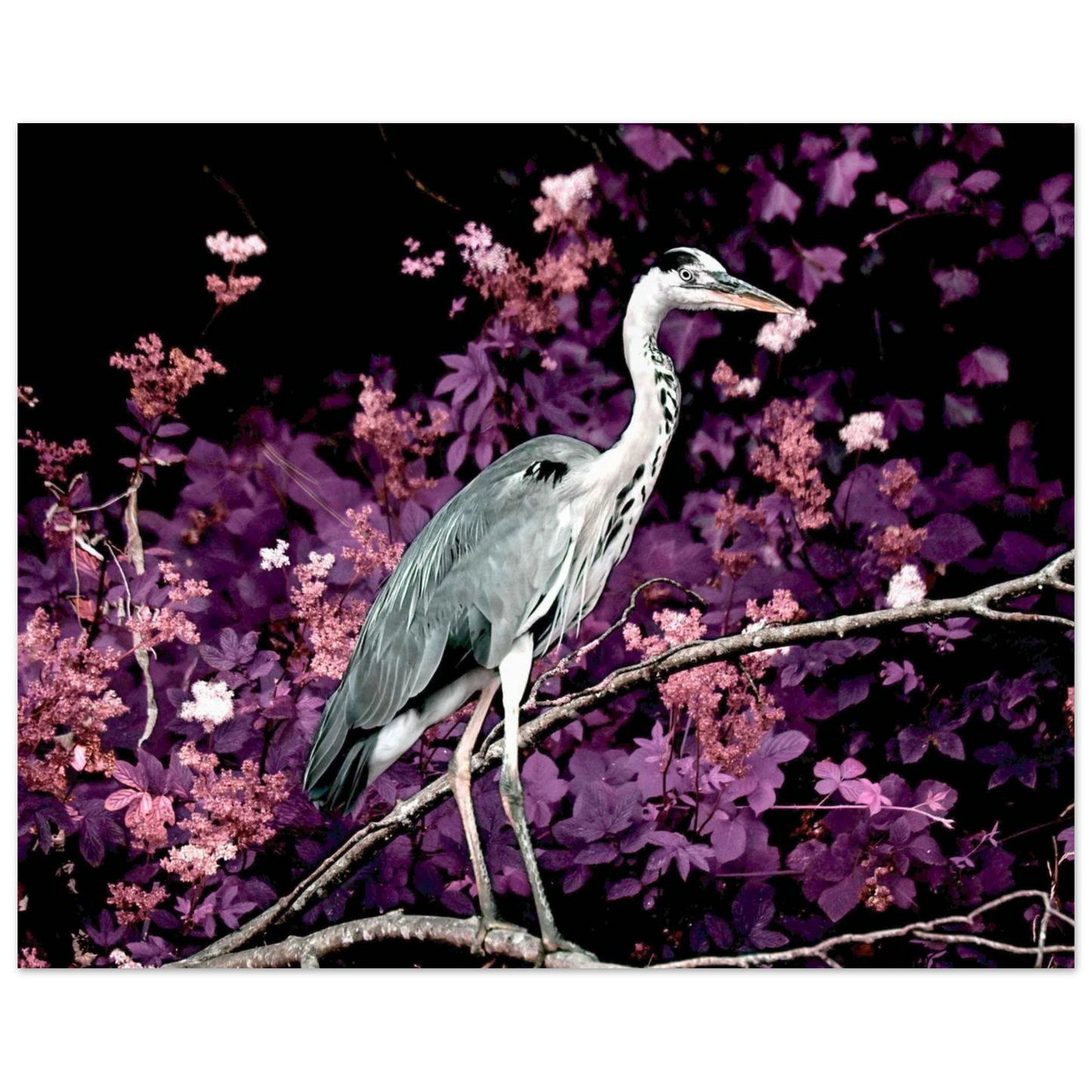 a8b230d7-fb1a-40f7-92d8-48b39aad481f