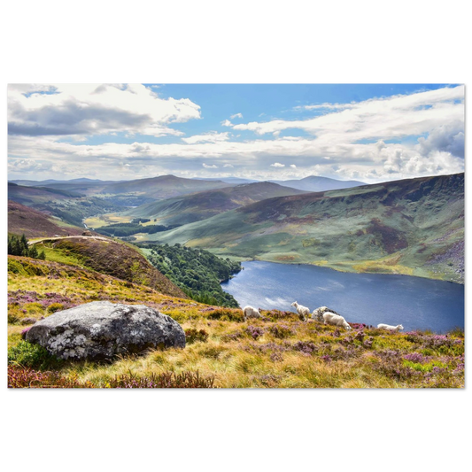 a8dc2adb-e805-430c-9ddd-91cbb8c08763