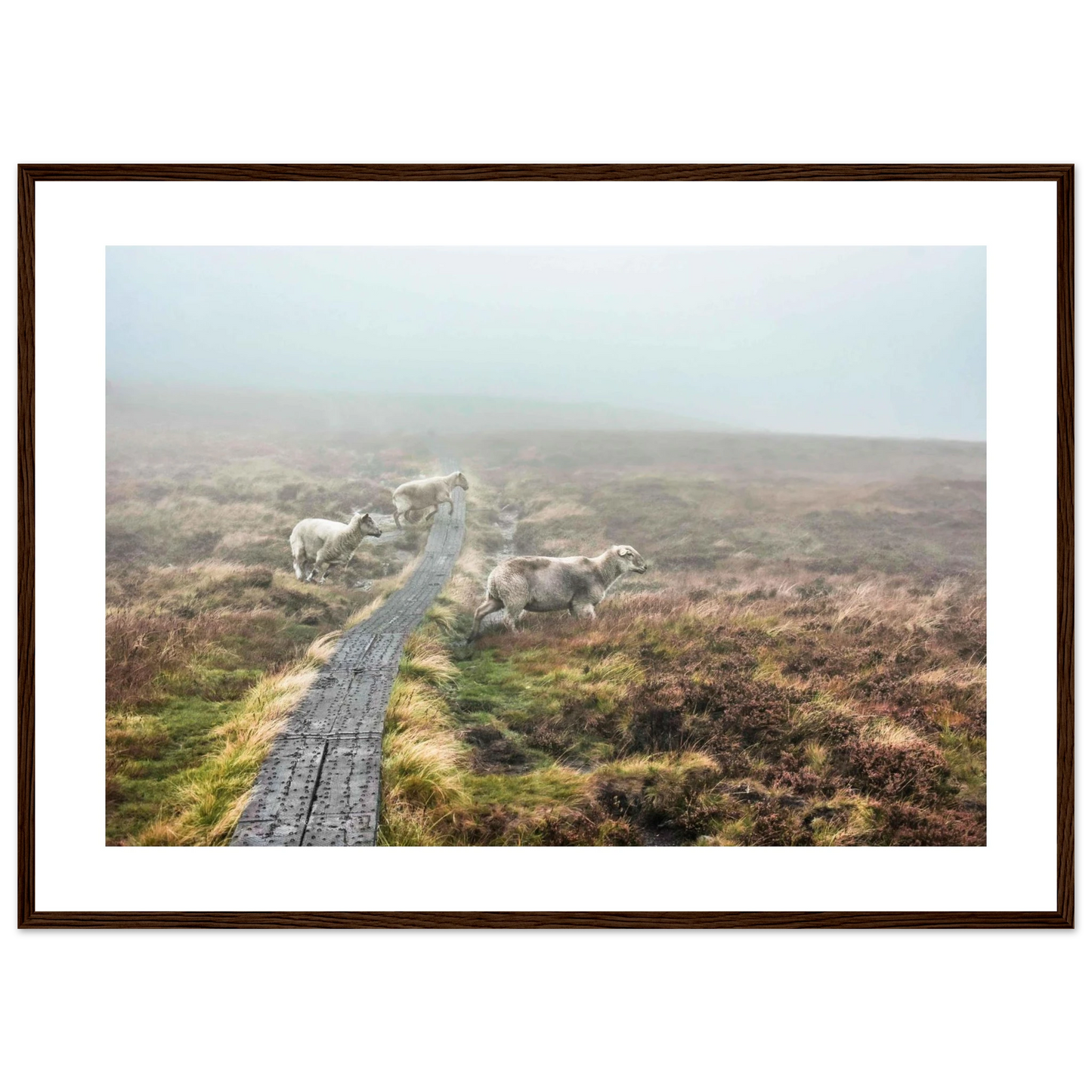 a93e34bb-80c4-46db-8fc9-6e756a94fe9e