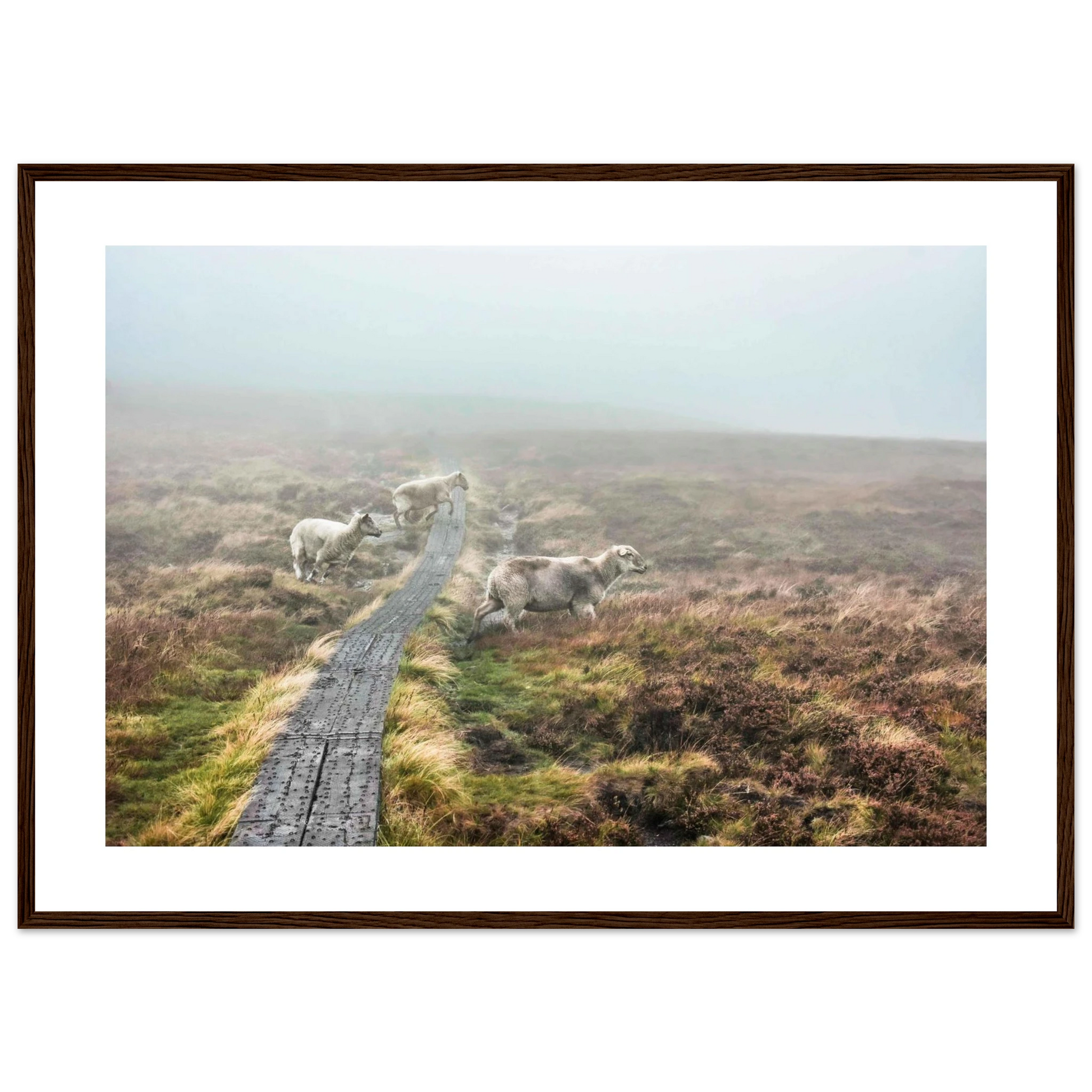 a93e34bb-80c4-46db-8fc9-6e756a94fe9e