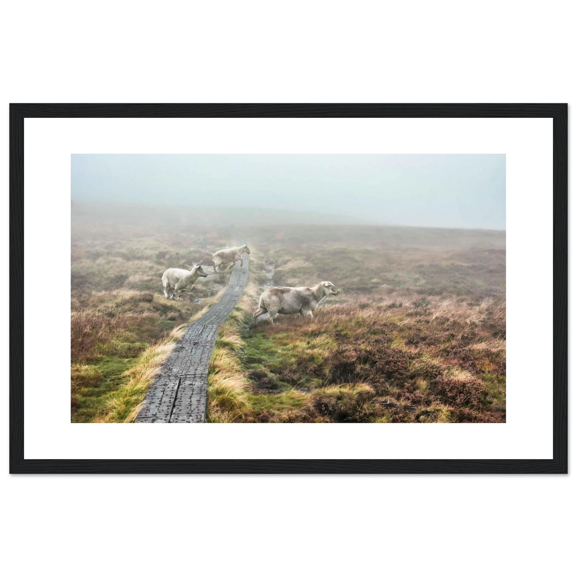 a96b43a9-6a81-45a3-9cd6-599f6e82df87