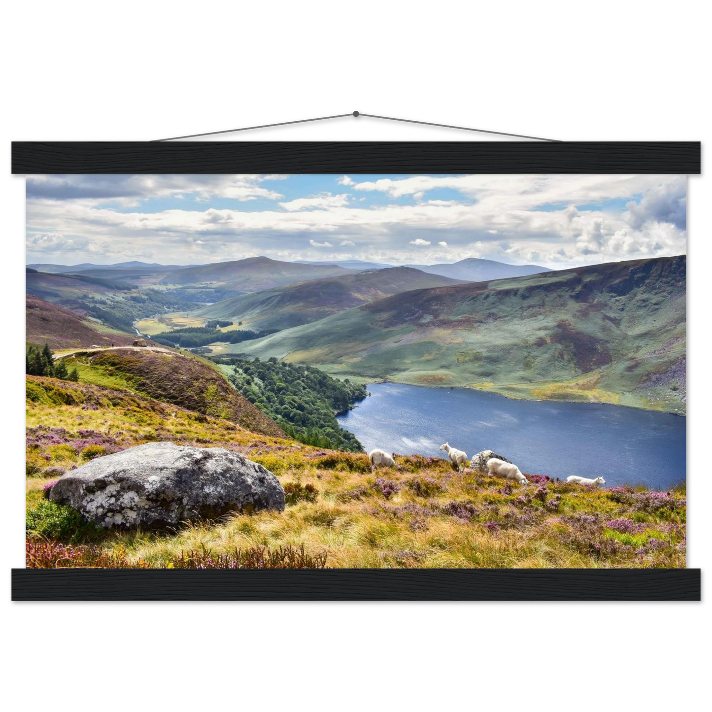 a9a53aa7-8af8-4bd2-bfed-cd360eb9dd1c