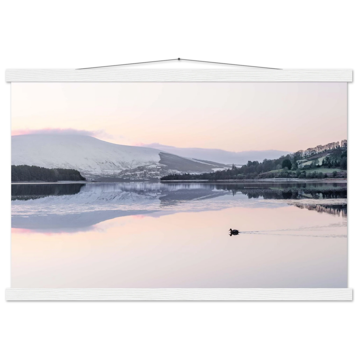 a9a9c35b-f759-4d39-ba08-0cfefa80b1eb