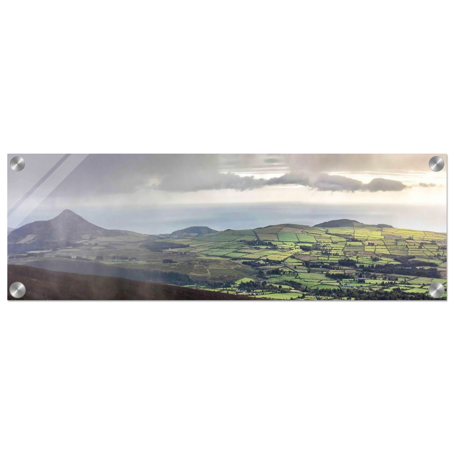 a9d6eba4-e75f-4ef6-8ed8-3eeee4d89385