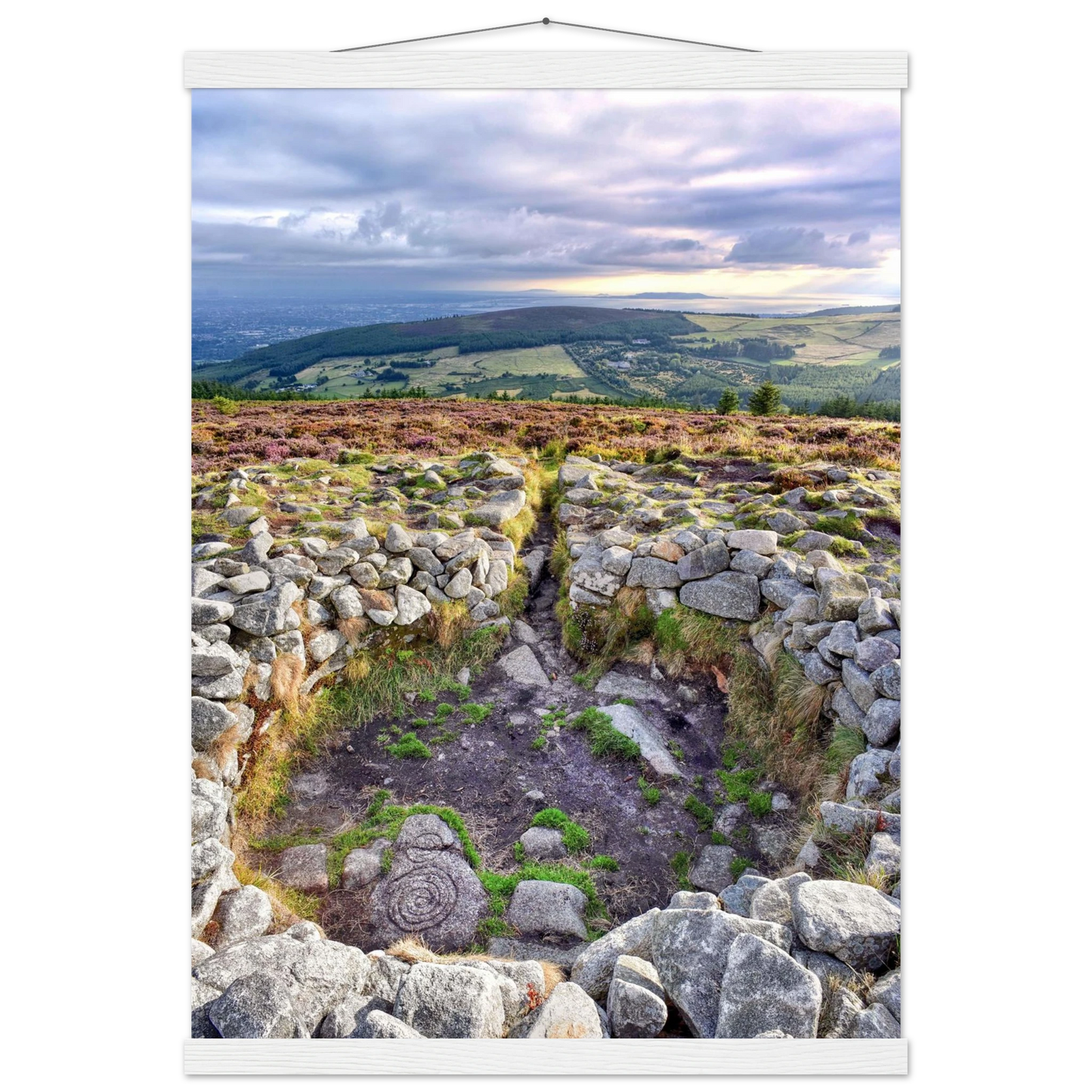 a9fc02f7-6c88-46ab-ac26-e47618234de0