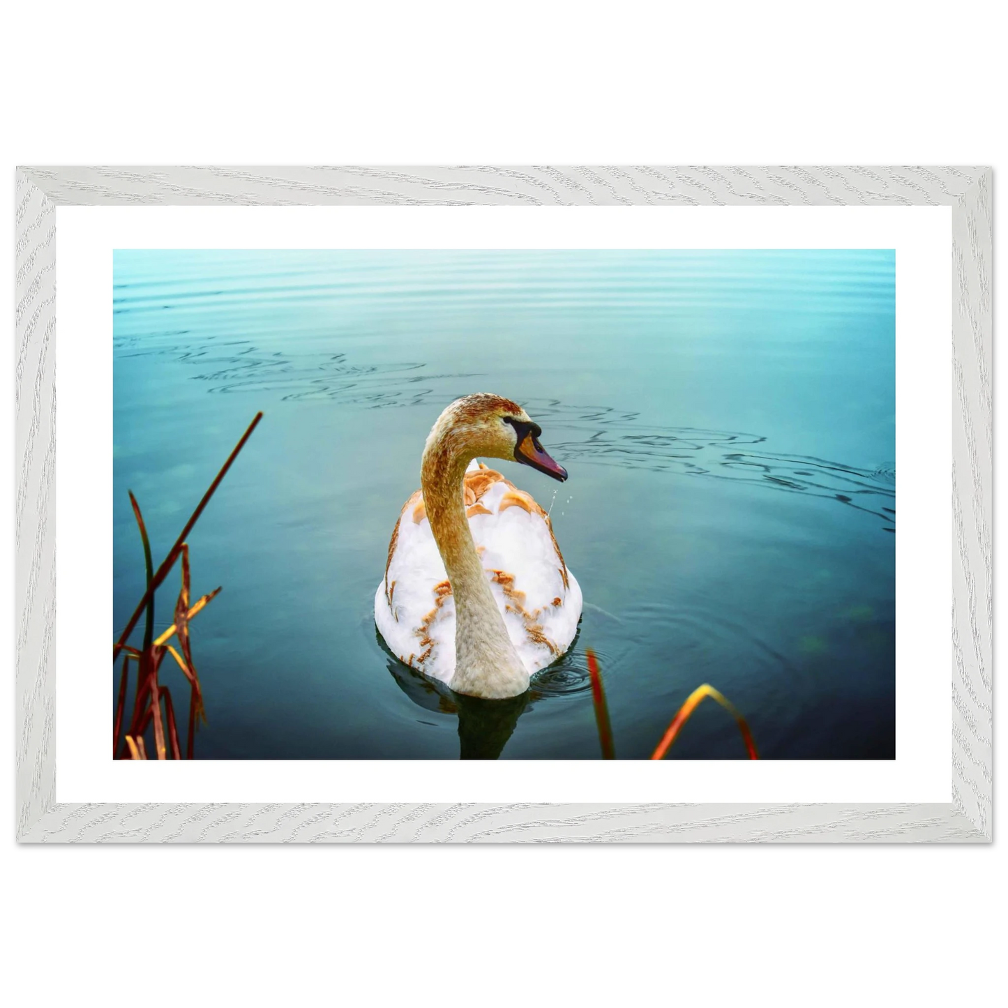 aa35bb19-3b97-497b-9709-d0e6548fa2dc