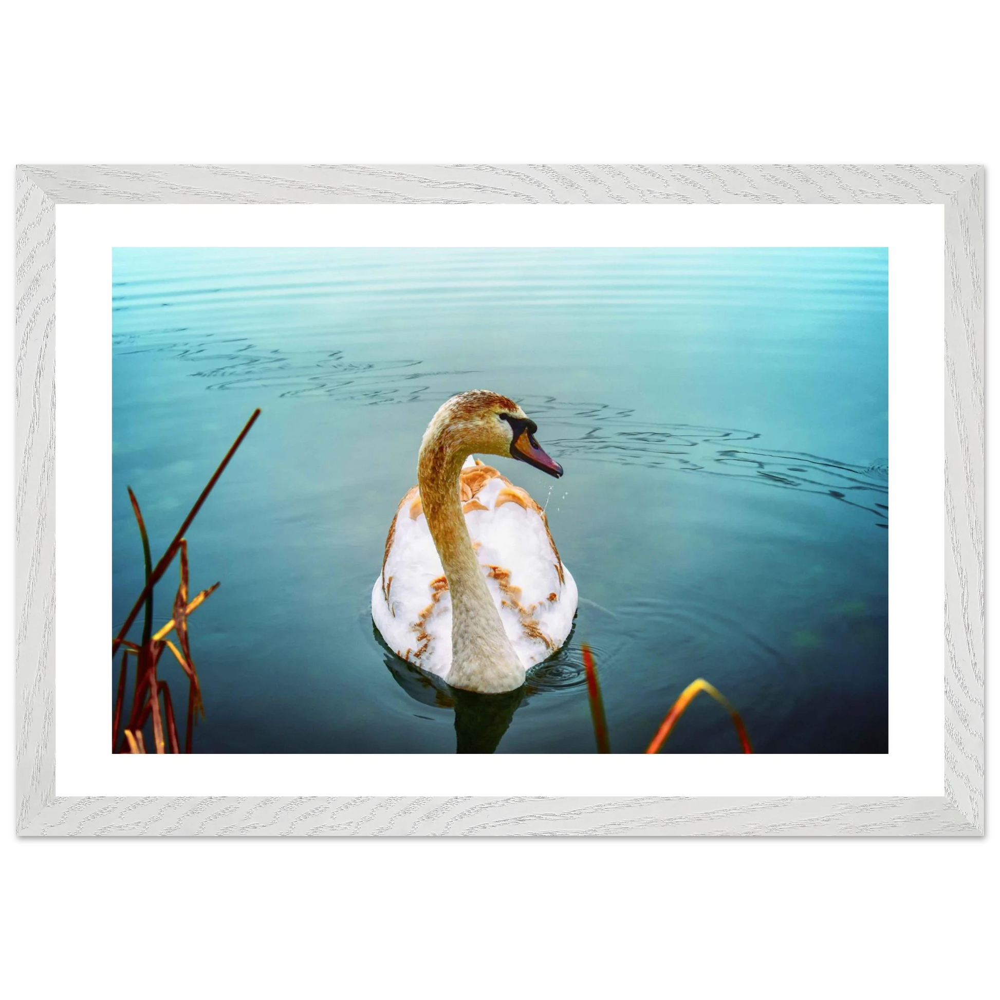 aa35bb19-3b97-497b-9709-d0e6548fa2dc